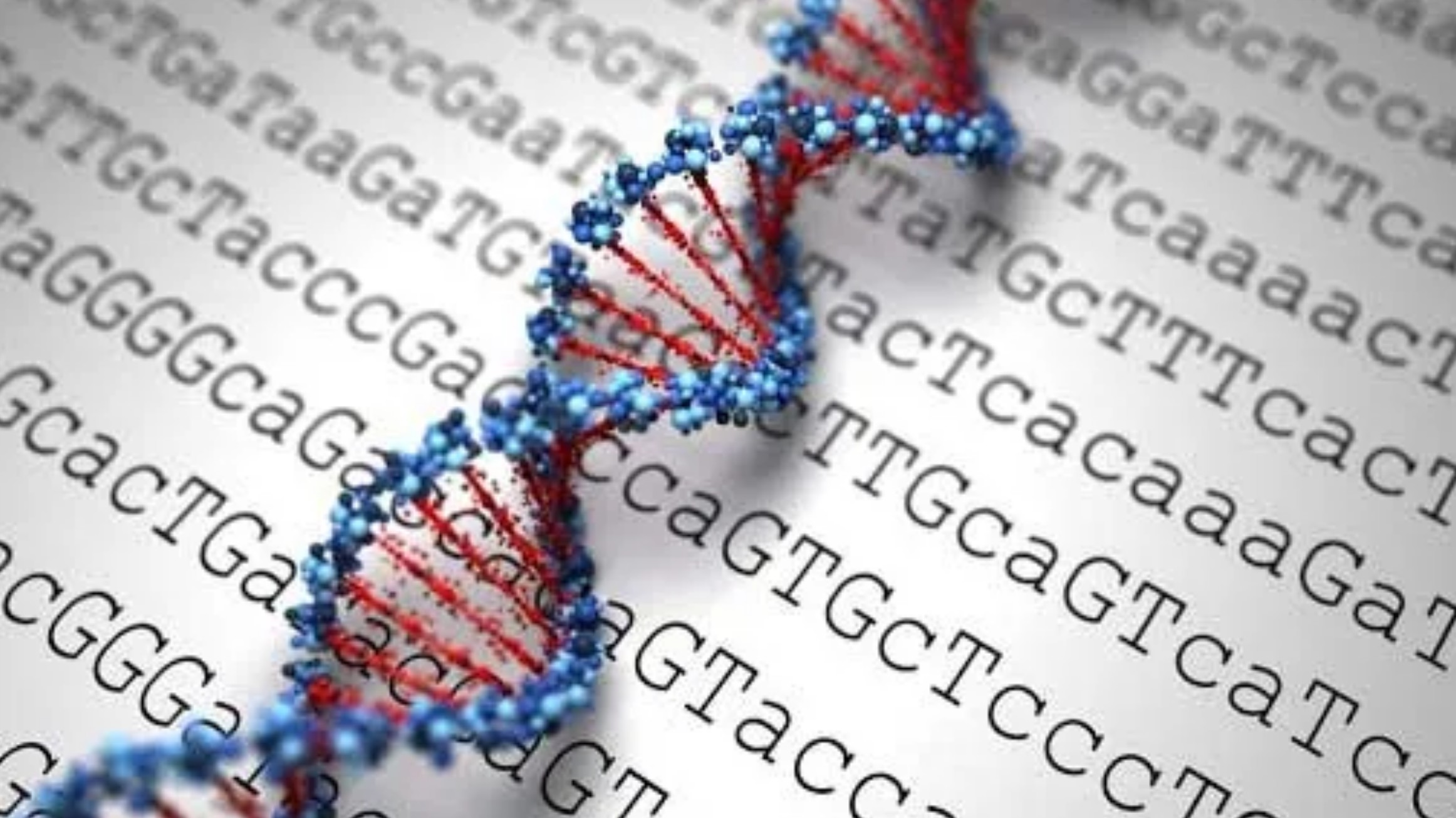 Ai n&ecirc;n x&eacute;t nghiệm gen để tầm so&aacute;t ung thư?- Ảnh 1.