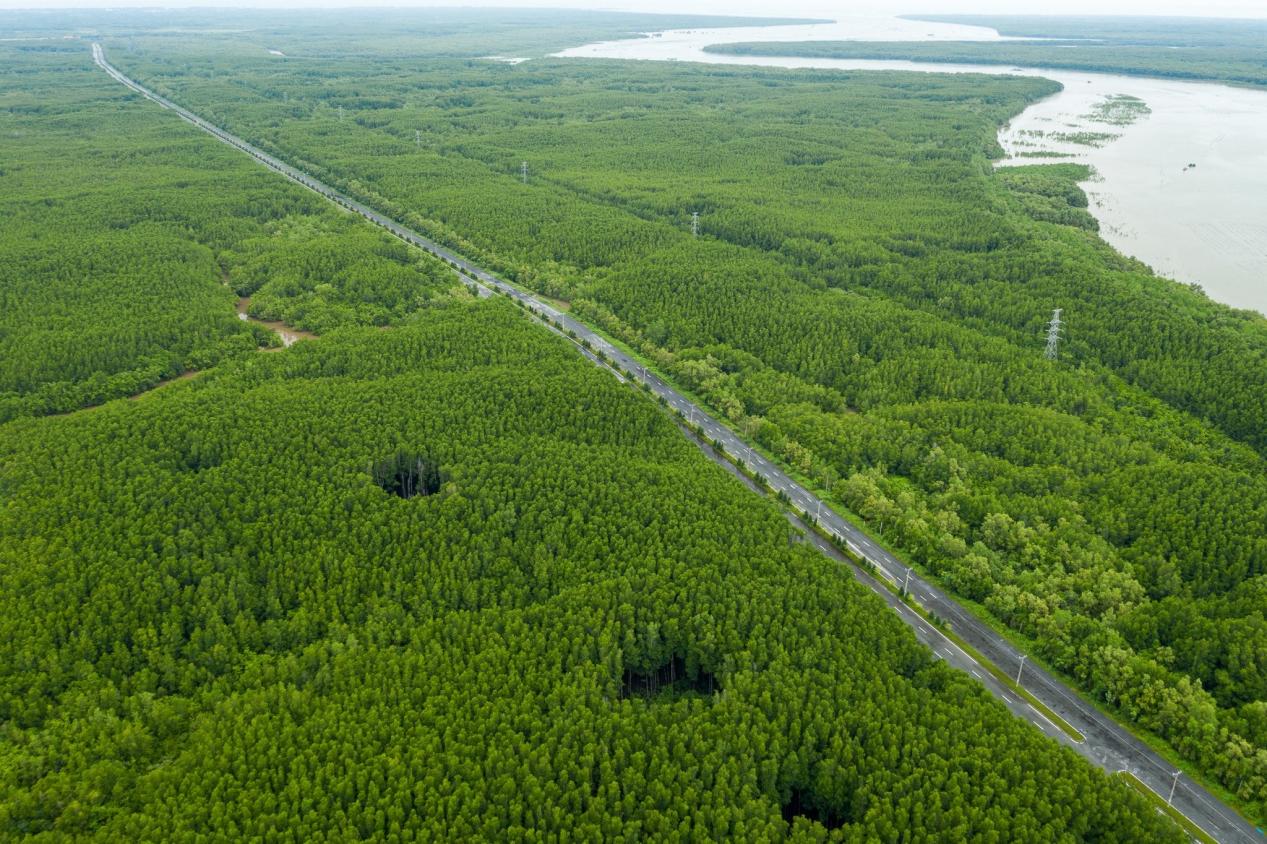 242631835_4280466978738180_6658837528774831272_n