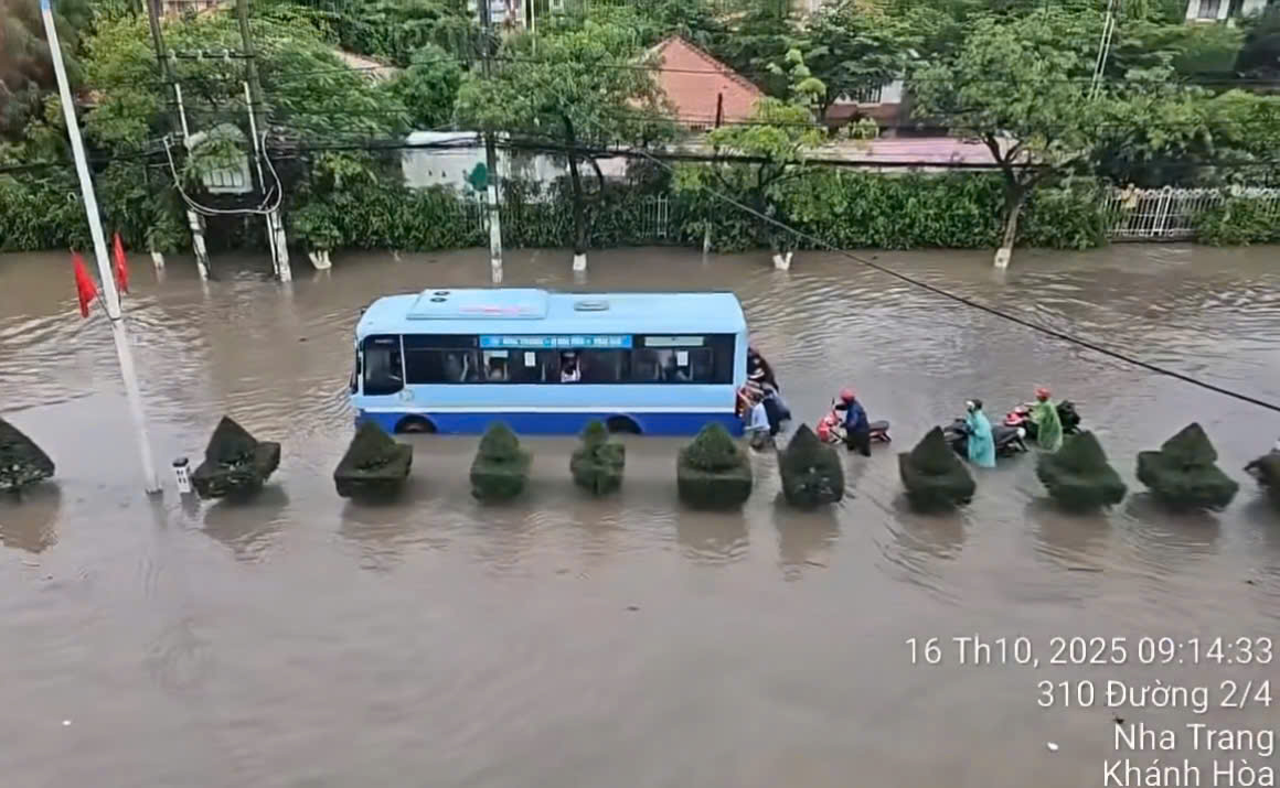 Nhiều tuyến đường ở Nha Trang ngập s&acirc;u, giao th&ocirc;ng t&ecirc; liệt cục bộ- Ảnh 3.