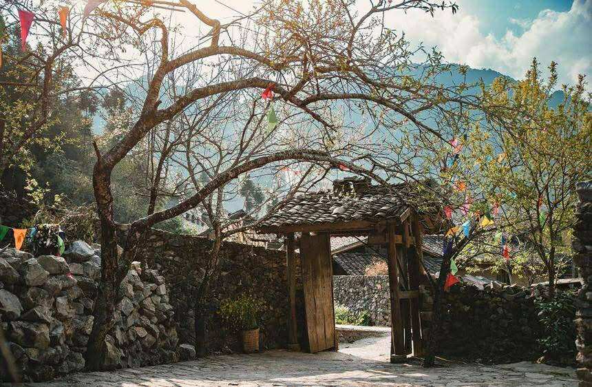 Tuy&ecirc;n Quang: Th&ocirc;n L&ocirc; L&ocirc; Chải được c&ocirc;ng nhận &ldquo;L&agrave;ng du lịch tốt nhất thế giới năm 2025&rdquo;- Ảnh 3.