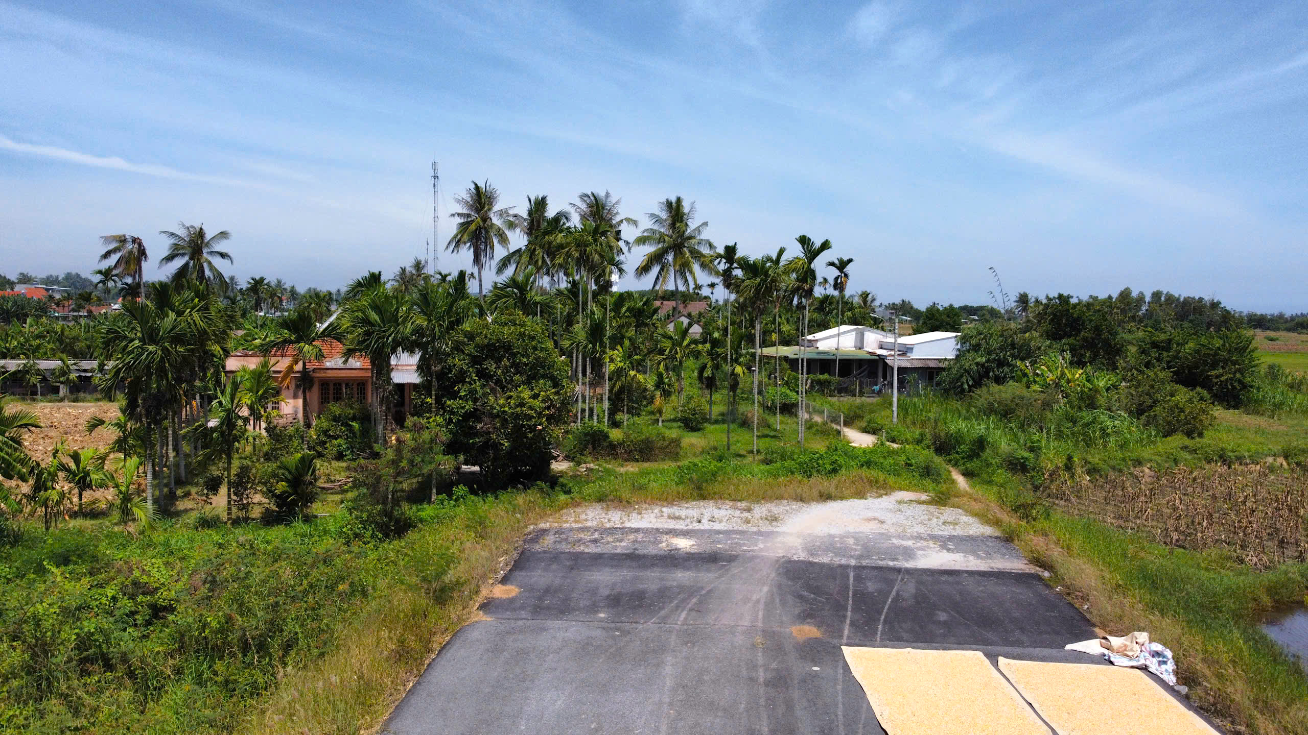 Mặt bằng kh&ocirc;ng liền mạch, đường ven biển Quảng Ng&atilde;i thi c&ocirc;ng từng đoạn- Ảnh 8.