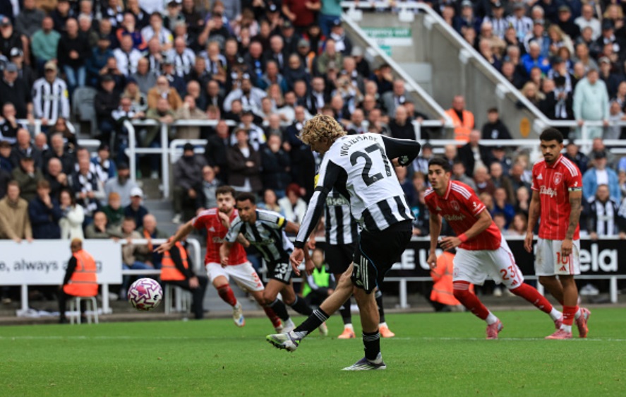 Nhận định Brighton - Newcastle (21h00 ng&agrave;y 18/10), Ngoại hạng Anh 2025-2026- Ảnh 2.