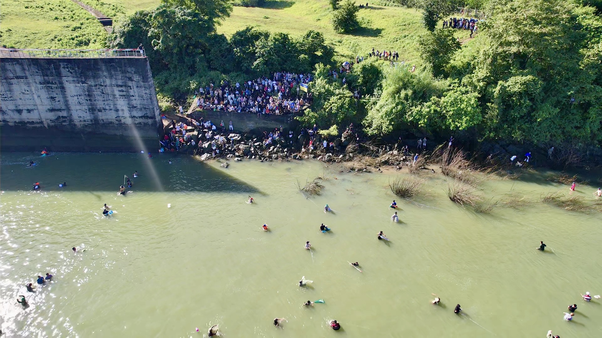 Ngừng xả lũ đập thủy điện Trị An, người dân đổ về săn cá "lộc trời”- Ảnh 3. Ngừng xả lũ đập thủy điện Trị An, người dân đổ về săn cá "lộc trời”- Ảnh 3.