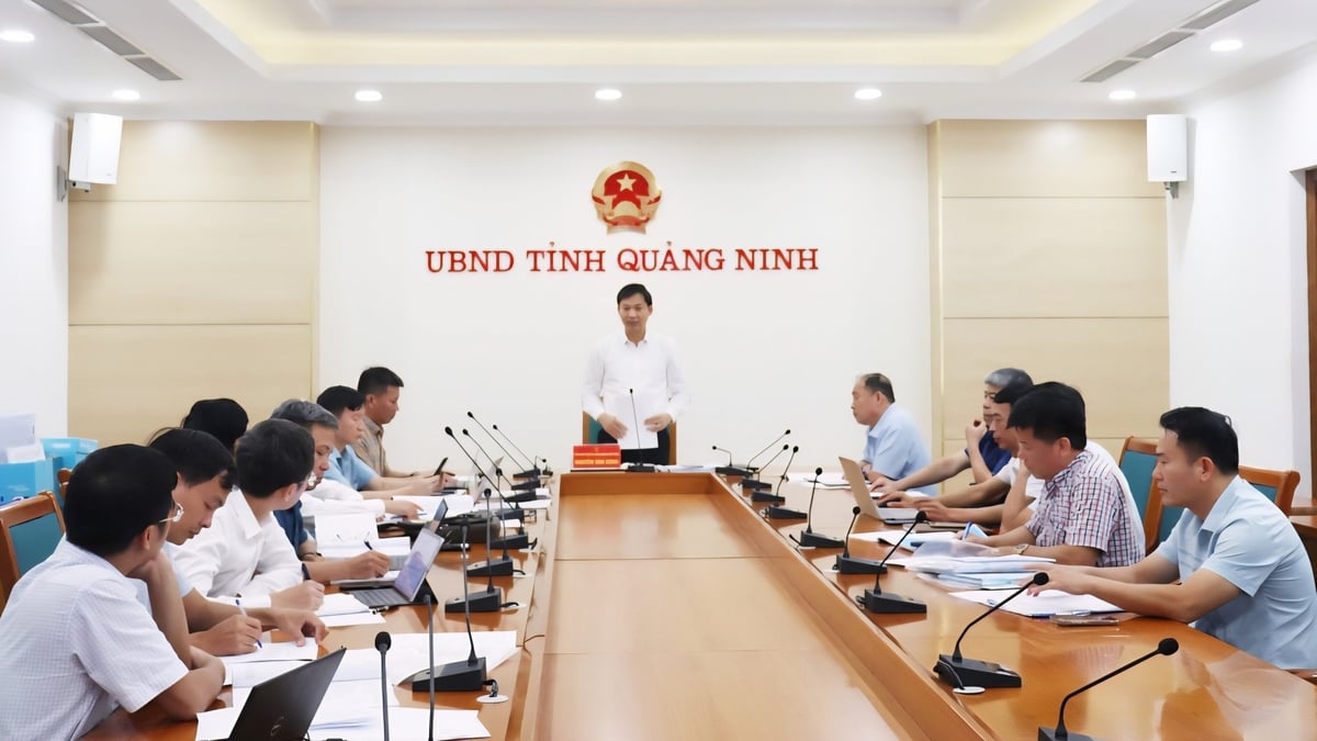 Quảng Ninh nâng cấp hệ thống đê điều, ứng phó thiên tai- Ảnh 3. Quảng Ninh nâng cấp hệ thống đê điều, ứng phó thiên tai- Ảnh 3.