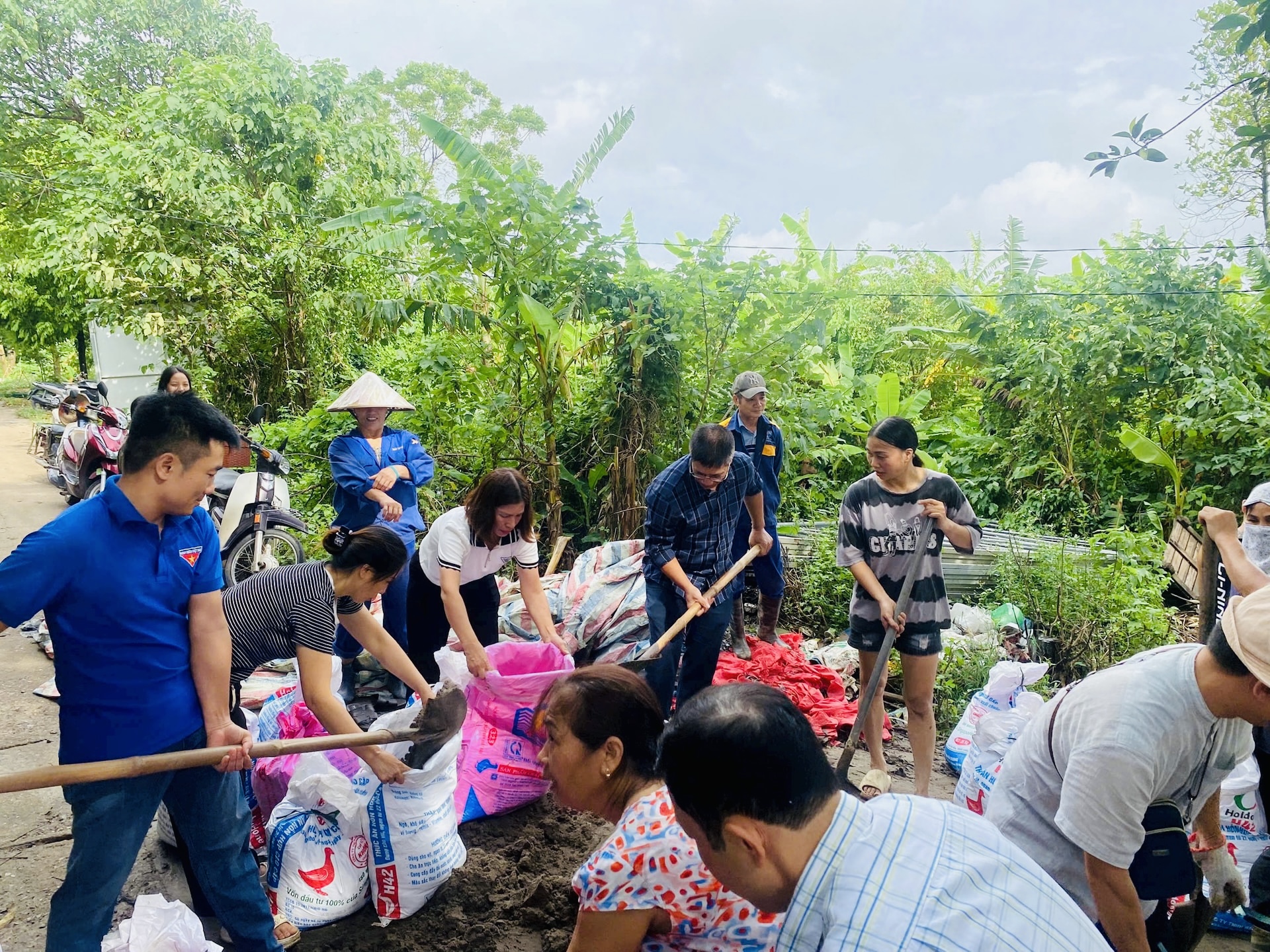 H&agrave; Nội: C&ocirc;ng an, bộ đội xuống đồng gặt l&uacute;a gi&uacute;p d&acirc;n sau mưa b&atilde;o- Ảnh 9.