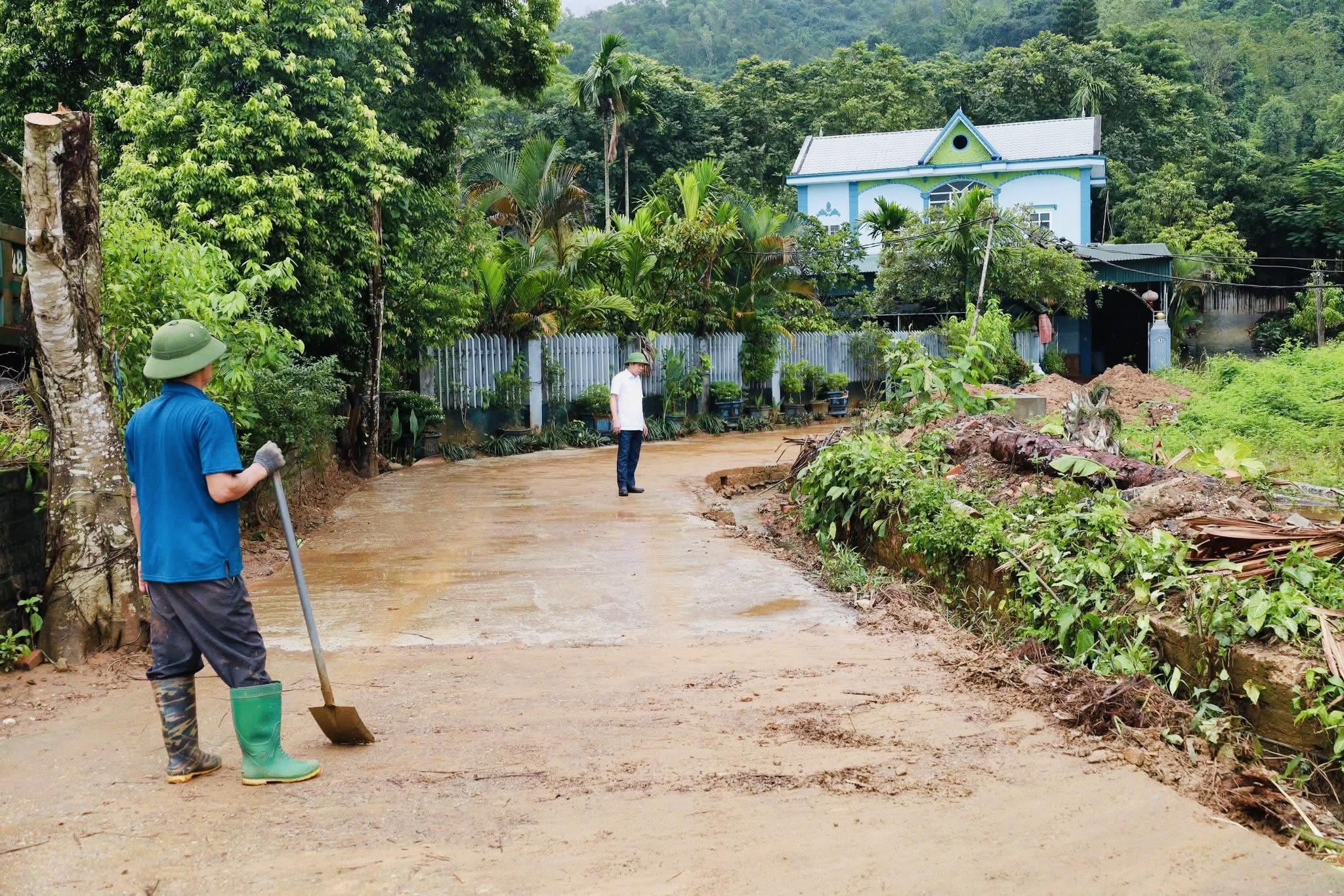 H&agrave; Nội: C&ocirc;ng an, bộ đội xuống đồng gặt l&uacute;a gi&uacute;p d&acirc;n sau mưa b&atilde;o- Ảnh 8.
