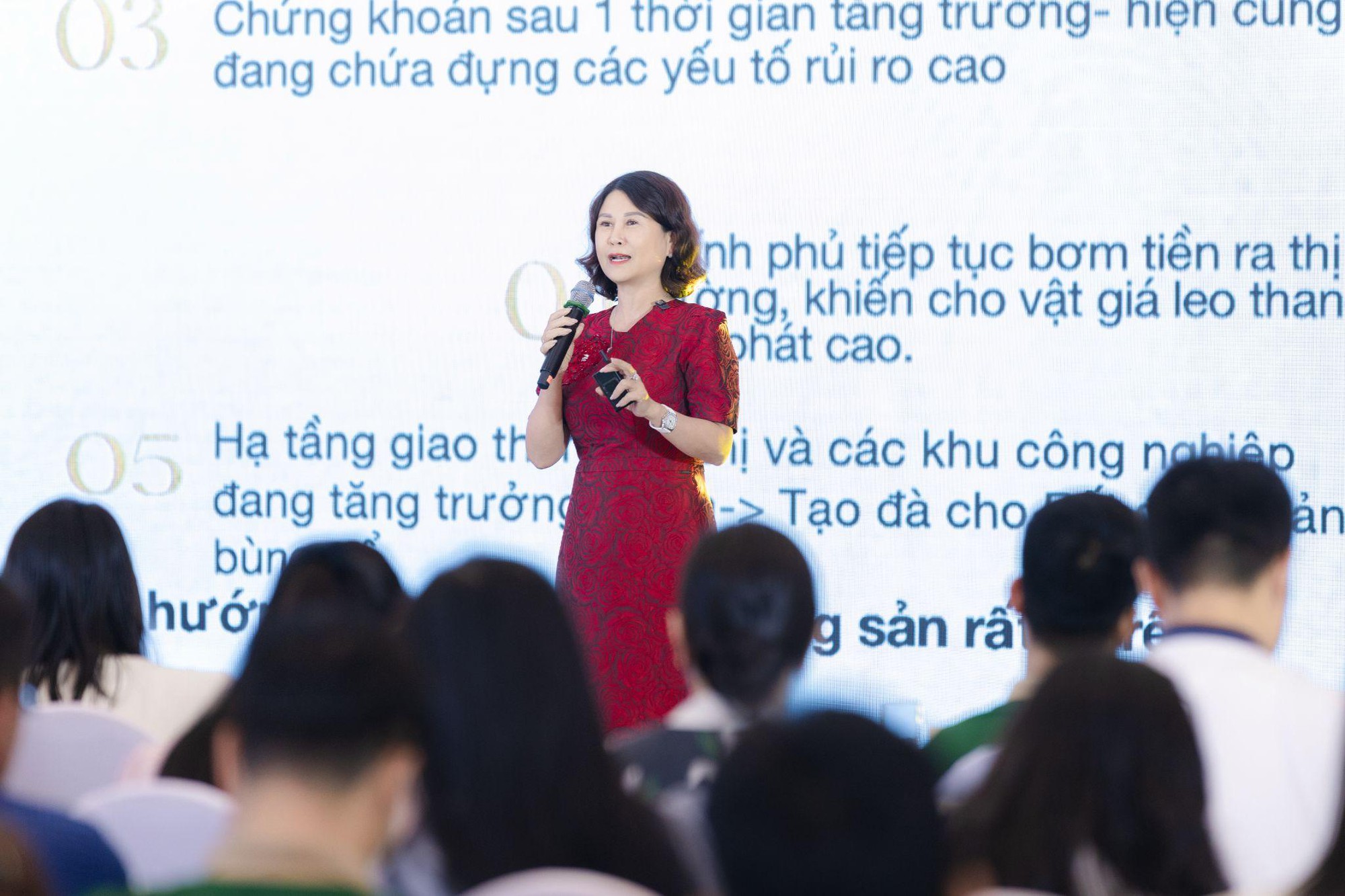 VHS Group đồng h&agrave;nh c&ugrave;ng Vinhomes khai mở kỳ quan Hải Ph&ograve;ng- Ảnh 2.