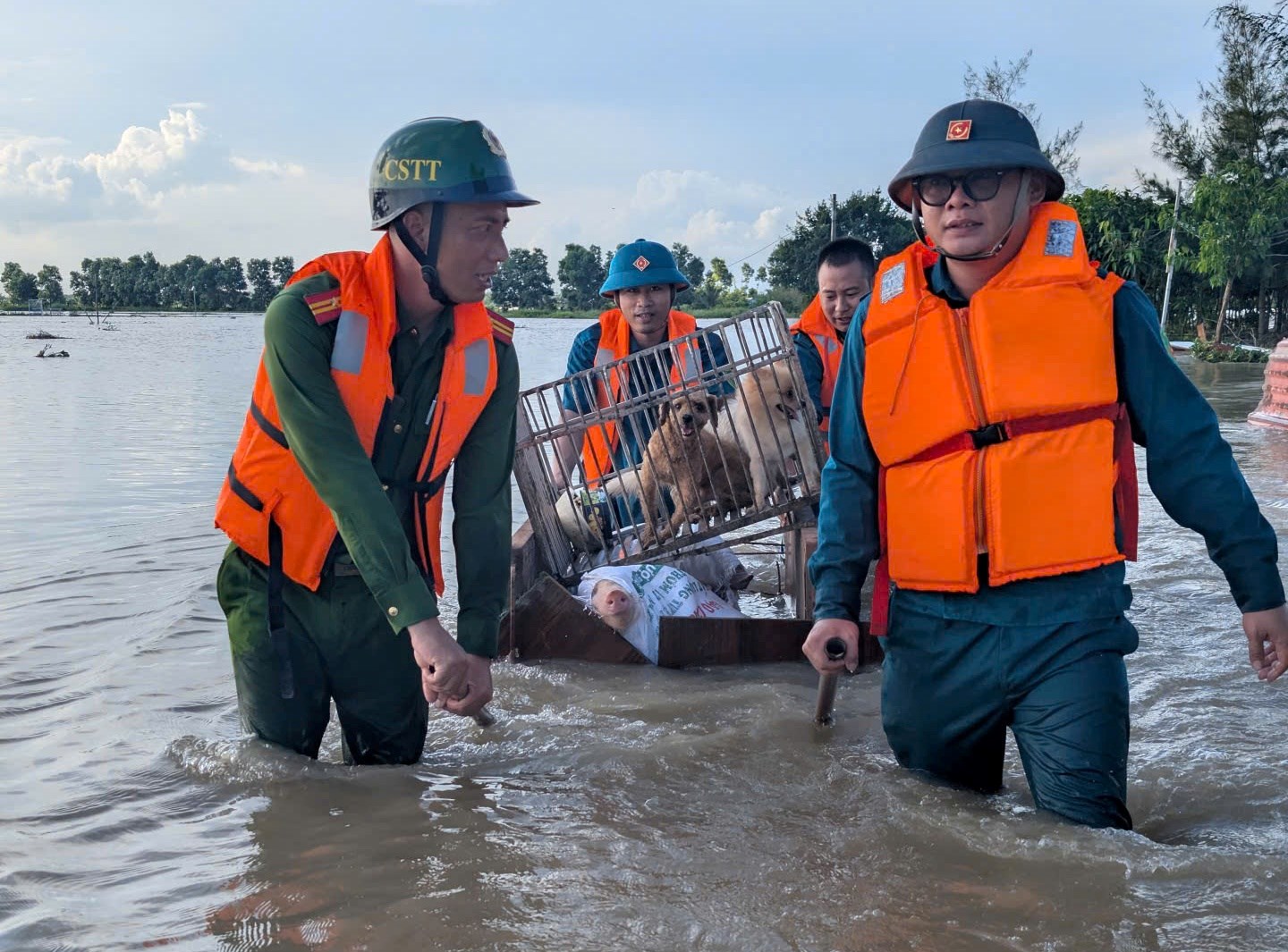 Nước lũ dâng cao, Công an Hải Phòng lội nước "cứu" tài sản, giúp dân ổn định cuộc sống- Ảnh 1. Nước lũ dâng cao, Công an Hải Phòng lội nước "cứu" tài sản, giúp dân ổn định cuộc sống- Ảnh 1.