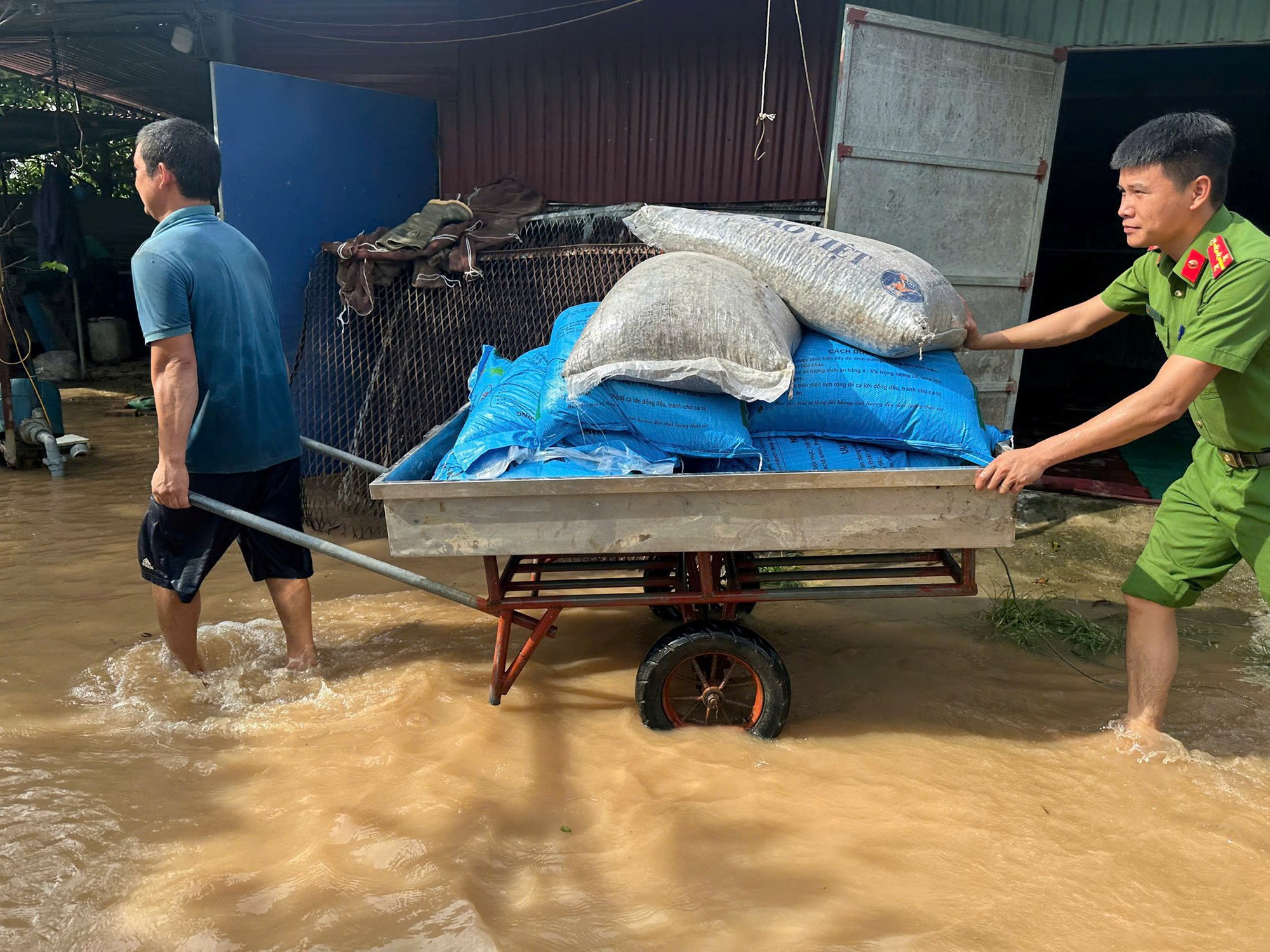 Nước lũ dâng cao, Công an Hải Phòng lội nước "cứu" tài sản, giúp dân ổn định cuộc sống- Ảnh 3. Nước lũ dâng cao, Công an Hải Phòng lội nước "cứu" tài sản, giúp dân ổn định cuộc sống- Ảnh 3.