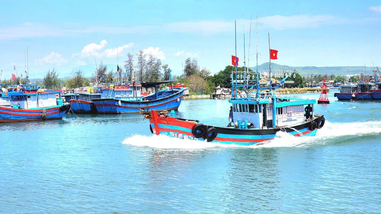 Thuyền trưởng ở Quảng Ngãi bị phạt gần 700 triệu đồng do 8 vi phạm- Ảnh 1. Thuyền trưởng ở Quảng Ngãi bị phạt gần 700 triệu đồng do 8 vi phạm- Ảnh 1.