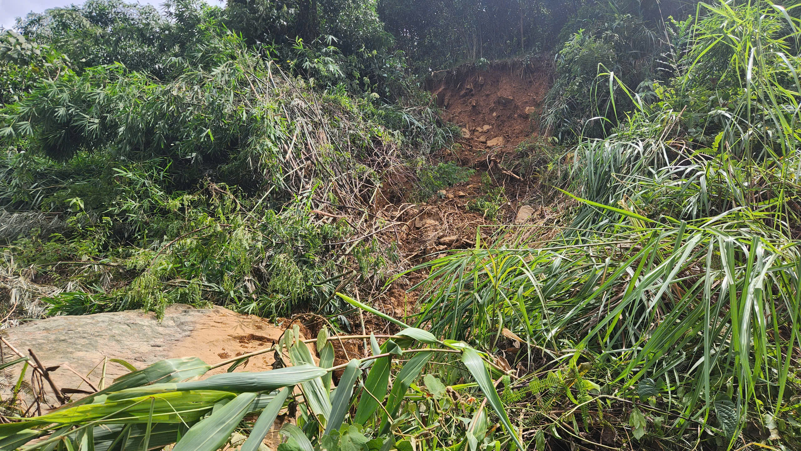 &ldquo;B&atilde;o chồng b&atilde;o, lũ chồng lũ&rdquo;, Nghệ An cần hỗ trợ 132 tỷ đồng để đảm bảo giao th&ocirc;ng- Ảnh 10.