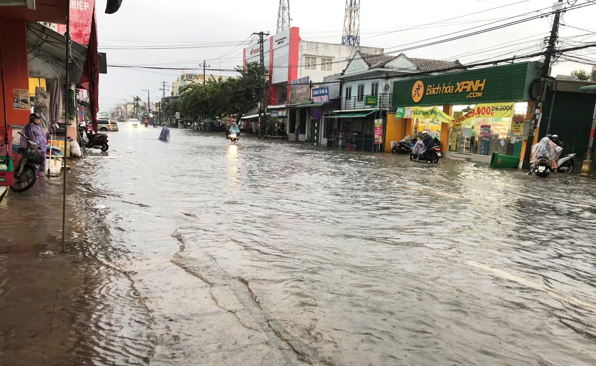 Quảng Ng&atilde;i: Mưa lớn g&acirc;y ngập quốc lộ, sẵn s&agrave;ng di dời h&agrave;ng ngh&igrave;n người d&acirc;n- Ảnh 1.