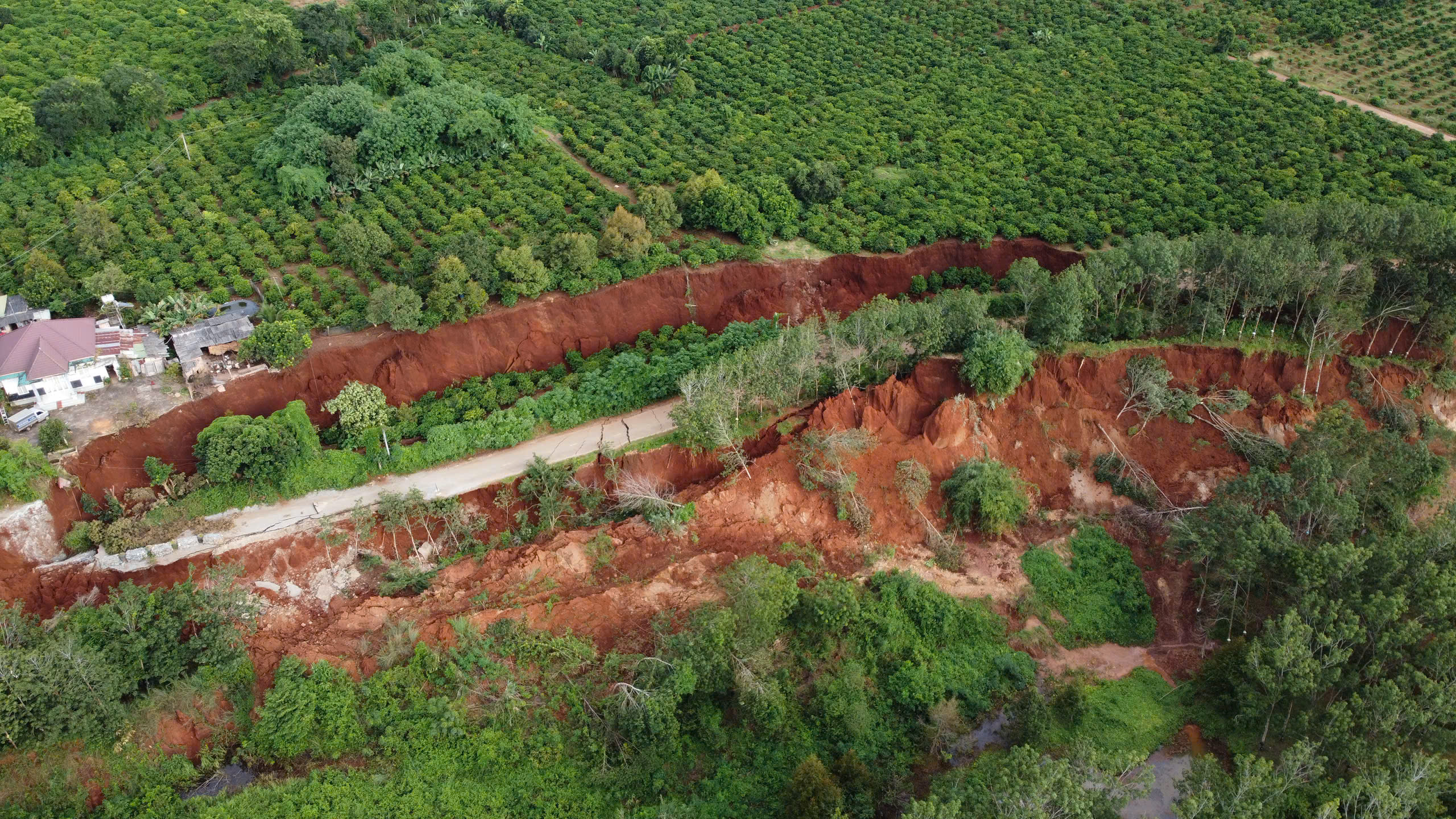 Vụ lở đất ở Gia Lai: Vết sạt "nuốt" 400m đường giao th&ocirc;ng, đe dọa 6 nh&agrave; d&acirc;n- Ảnh 1.