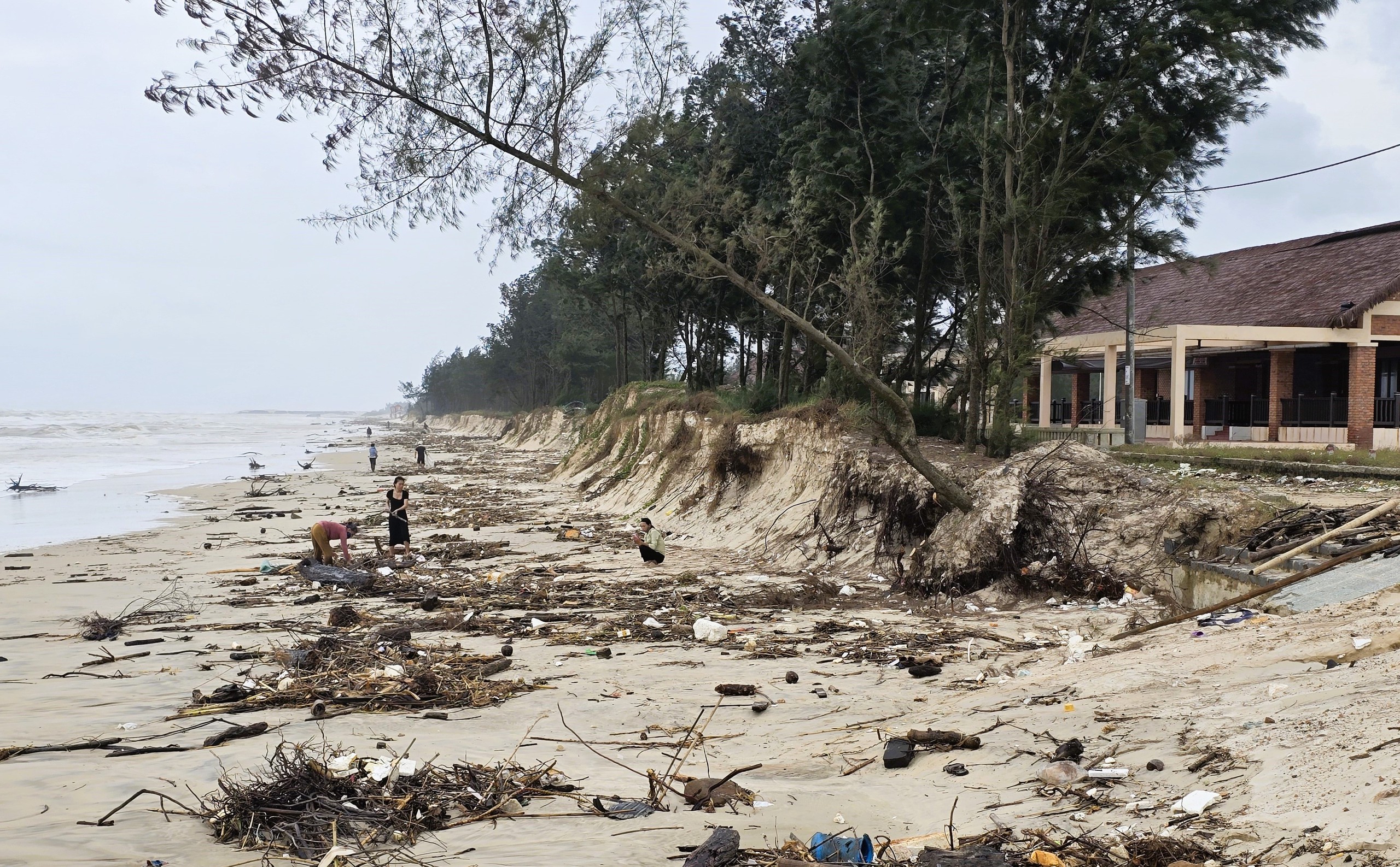 Quảng Trị: T&agrave;u thuyền v&agrave;o nơi tr&uacute; tr&aacute;nh b&atilde;o, người d&acirc;n vẫn tranh thủ m&oacute;t &ldquo;lộc&rdquo; ven bờ- Ảnh 10.