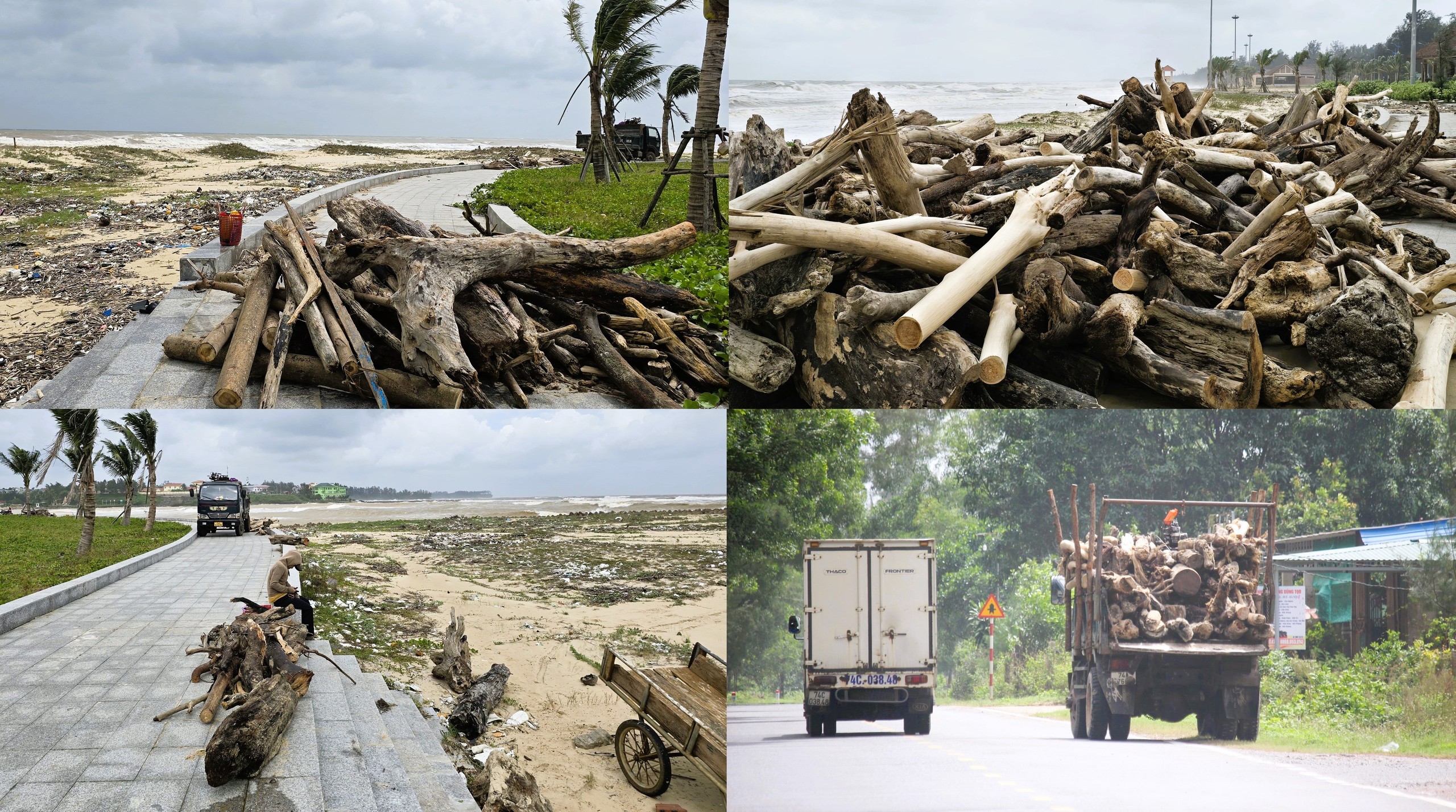 Quảng Trị: T&agrave;u thuyền v&agrave;o nơi tr&uacute; tr&aacute;nh b&atilde;o, người d&acirc;n vẫn tranh thủ m&oacute;t &ldquo;lộc&rdquo; ven bờ- Ảnh 13.