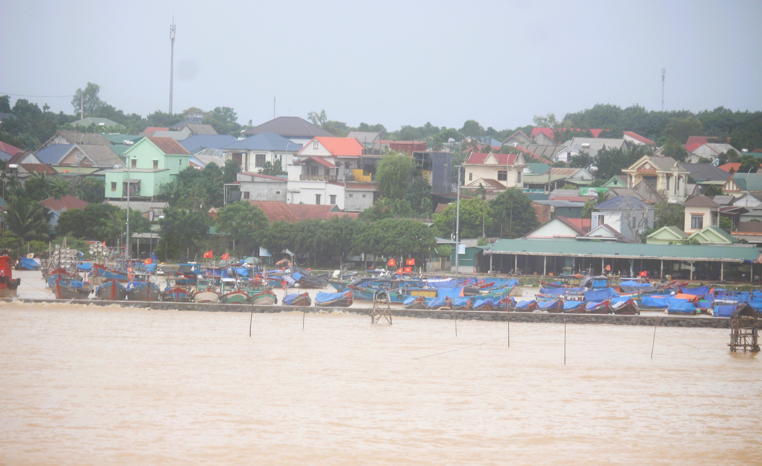 Quảng Trị: T&agrave;u thuyền v&agrave;o nơi tr&uacute; tr&aacute;nh b&atilde;o, người d&acirc;n vẫn tranh thủ m&oacute;t &ldquo;lộc&rdquo; ven bờ- Ảnh 4.
