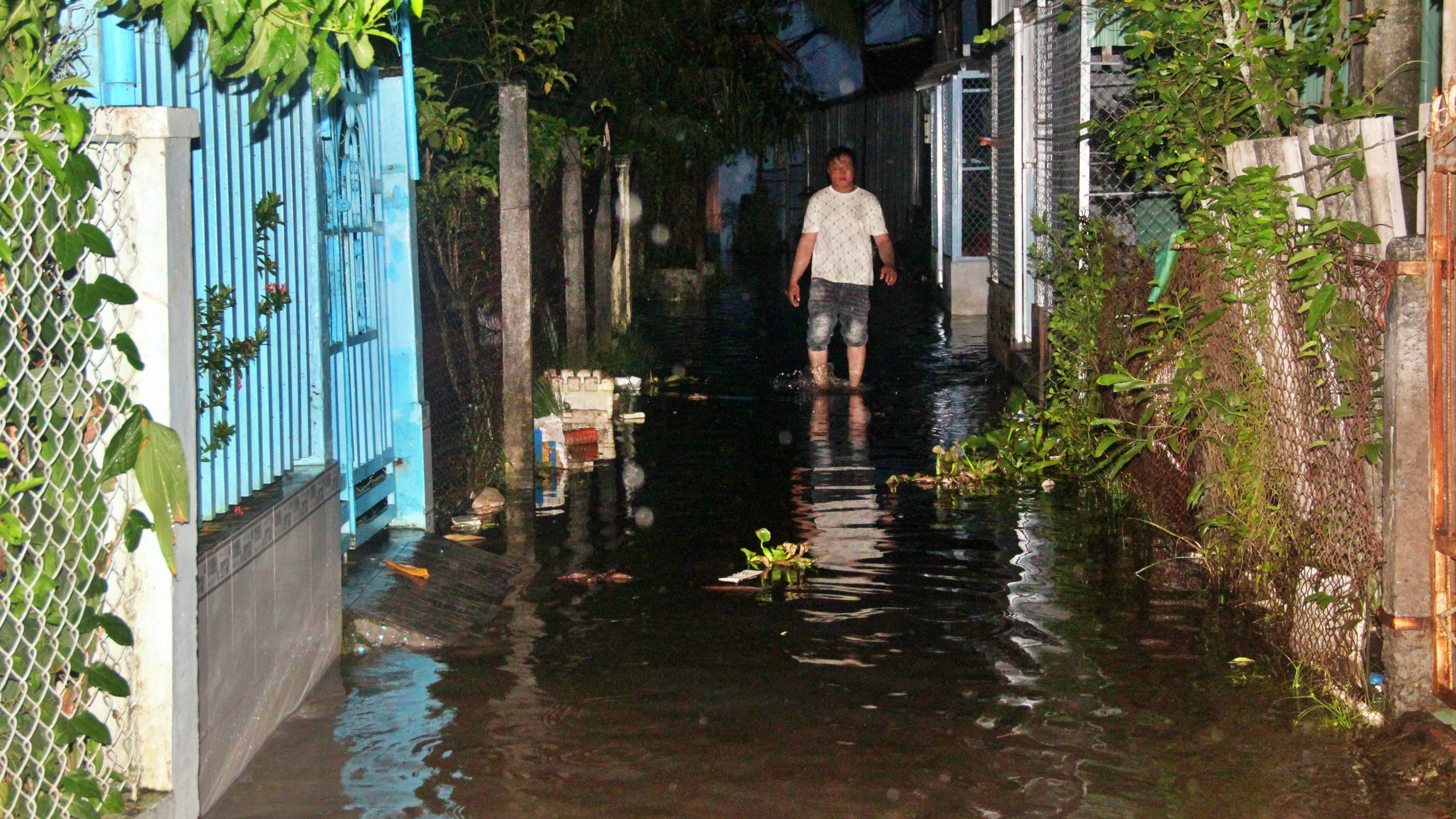 Cà Mau: Triều cường dâng cao, cuộc sống người dân đảo lộn- Ảnh 5. Cà Mau: Triều cường dâng cao, cuộc sống người dân đảo lộn- Ảnh 5.