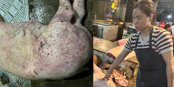 Khởi tố một kỹ sư th&uacute; y v&agrave; hai tiểu thương v&igrave; nu&ocirc;i lợn dịch, b&aacute;n ra nhiều chợ ở H&agrave; Nội- Ảnh 1.