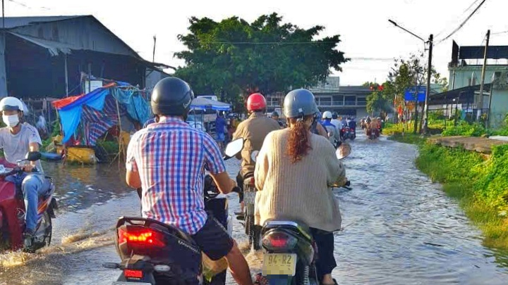 Khắc phục xong đoạn ngập nước tr&ecirc;n đường tỉnh 978 qua C&agrave; Mau- Ảnh 5.