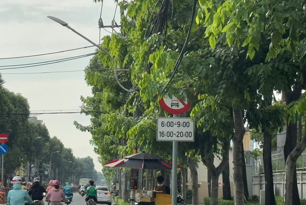 TP.HCM r&agrave; so&aacute;t, khắc phục t&igrave;nh trạng biển b&aacute;o giao th&ocirc;ng bị che khuất- Ảnh 1.