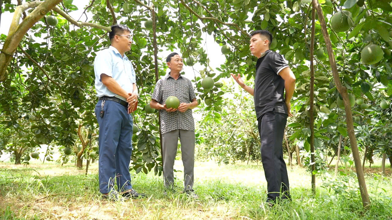 X&atilde; miền n&uacute;i đạt chuẩn n&ocirc;ng th&ocirc;n mới nhờ ph&aacute;t triển n&ocirc;ng l&acirc;m nghiệp, thuỷ sản- Ảnh 1.