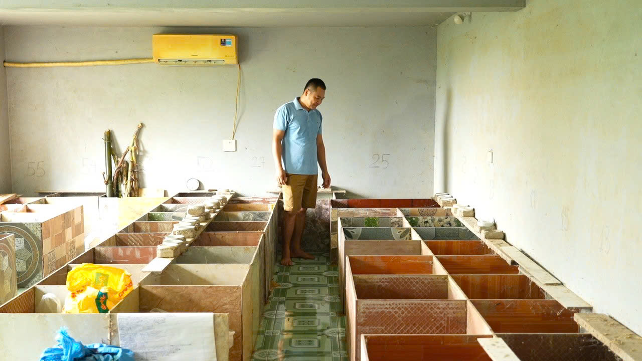 X&atilde; miền n&uacute;i đạt chuẩn n&ocirc;ng th&ocirc;n mới nhờ ph&aacute;t triển n&ocirc;ng l&acirc;m nghiệp, thuỷ sản- Ảnh 2.