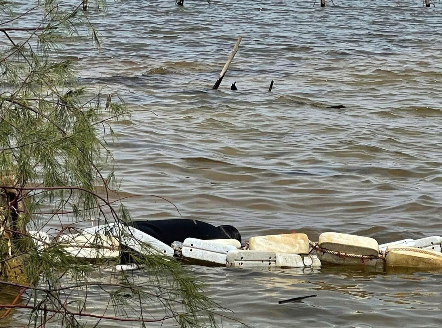 T&igrave;m thấy thi thể b&eacute; trai 13 tuổi mất t&iacute;ch khi theo người th&acirc;n đi lặn biển ở An Giang- Ảnh 1.