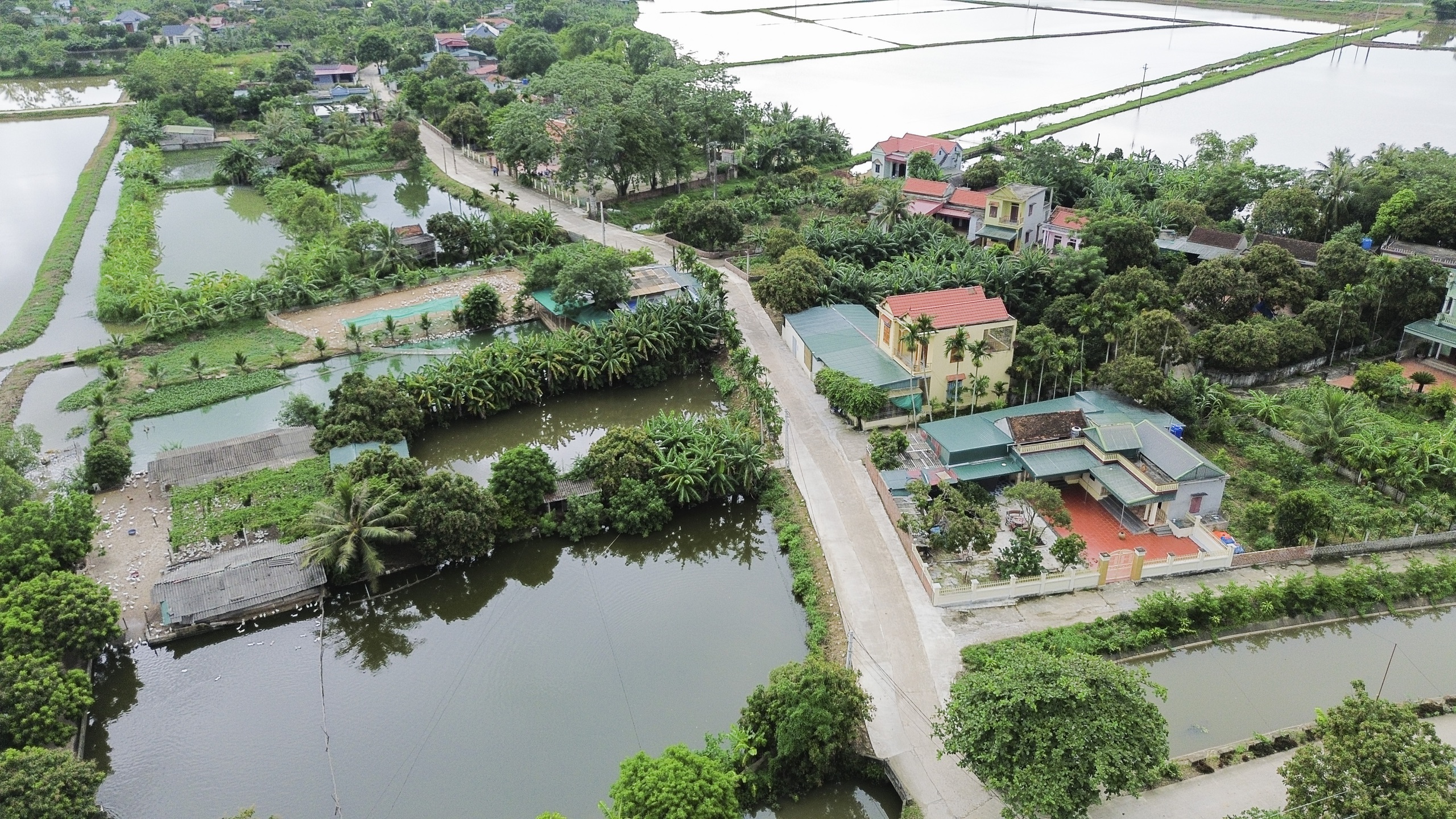 Thanh Ho&aacute;: Chuyện đường l&agrave;ng rộng mở từ l&ograve;ng d&acirc;n ở Lương Th&ocirc;n- Ảnh 3.