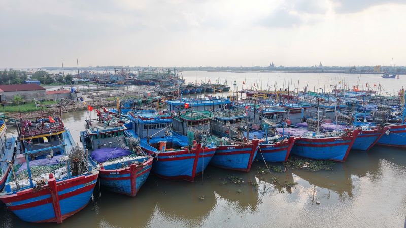 Ninh B&igrave;nh: Khai th&aacute;c hiệu quả hạ tầng cảng c&aacute;, ph&aacute;t triển kinh tế biển nhờ c&ocirc;ng nghệ- Ảnh 4.