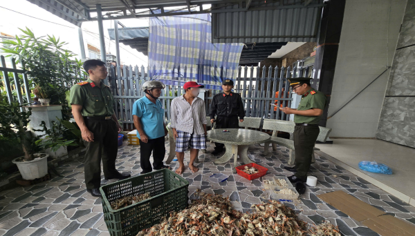 Khởi tố bắt tạm giam 2 thuyền trưởng v&igrave; đưa người kh&aacute;c xuất cảnh tr&aacute;i ph&eacute;p- Ảnh 1.