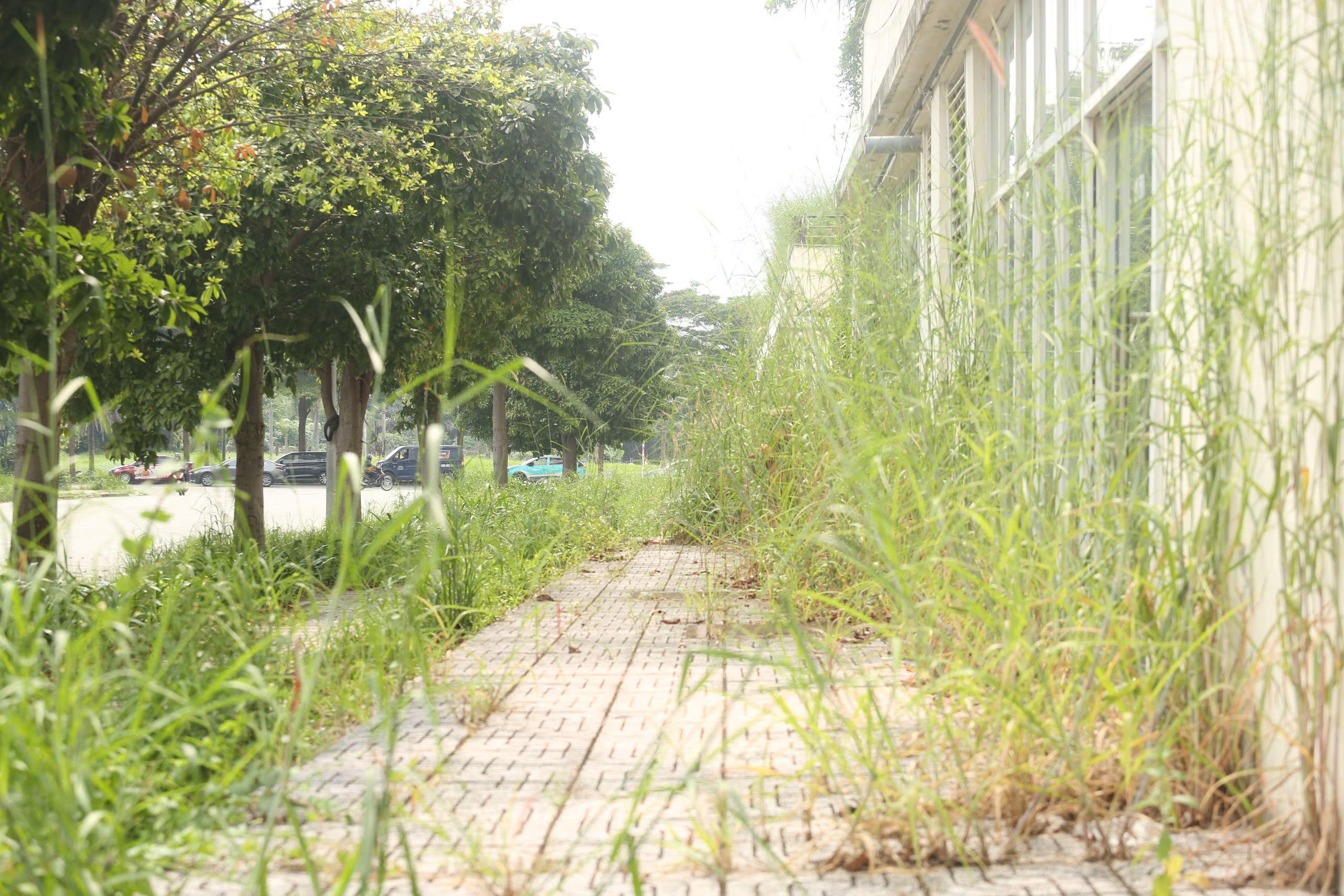 Hiện trạng 3.790 căn hộ t&aacute;i định cư Thủ Thi&ecirc;m trước lần đấu gi&aacute; thứ 5- Ảnh 9.