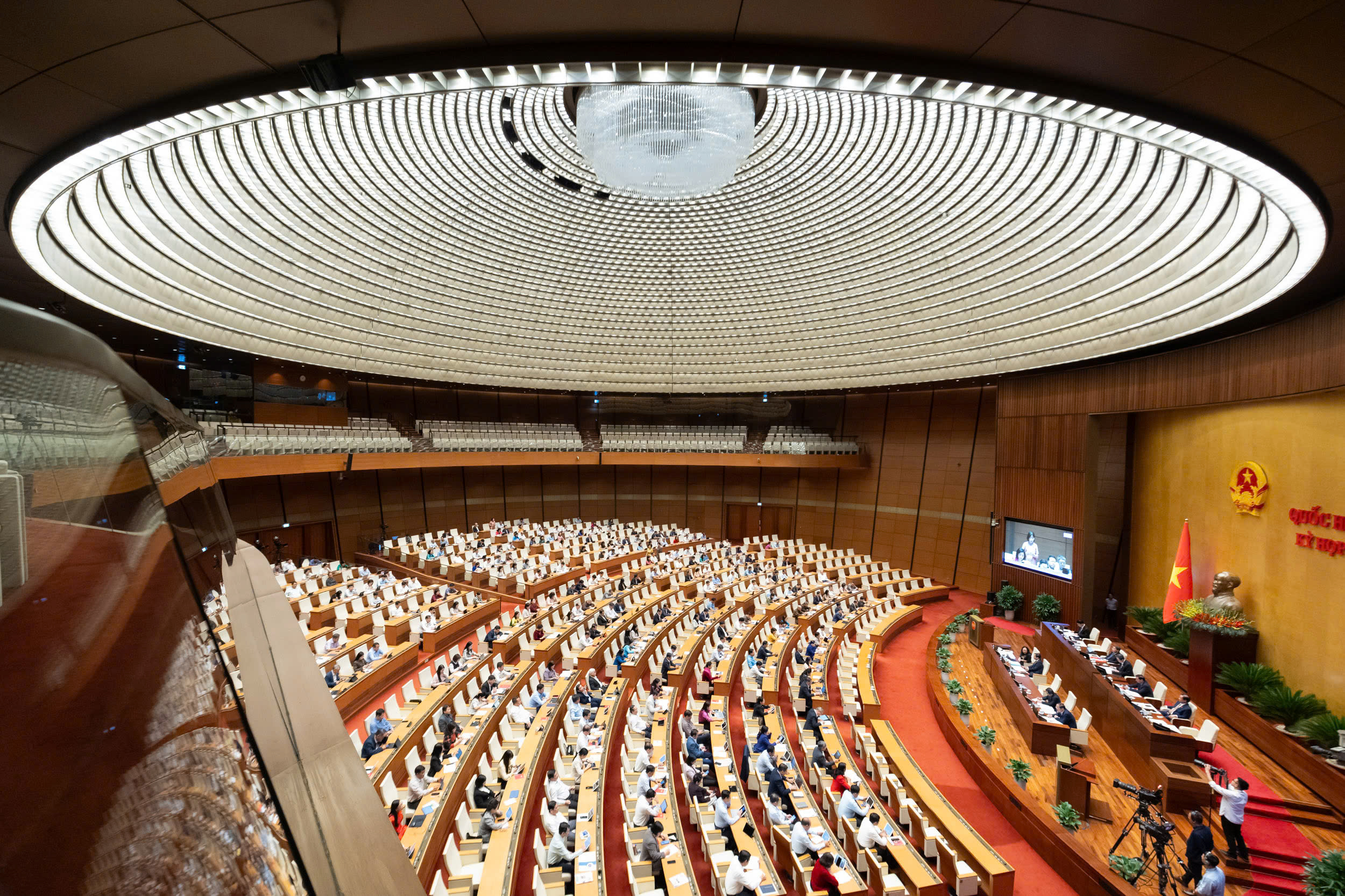 ĐBQH đề xuất hỗ trợ t&agrave;i ch&iacute;nh cho cộng đồng, doanh nghiệp trồng c&acirc;y xanh ven đường- Ảnh 2.