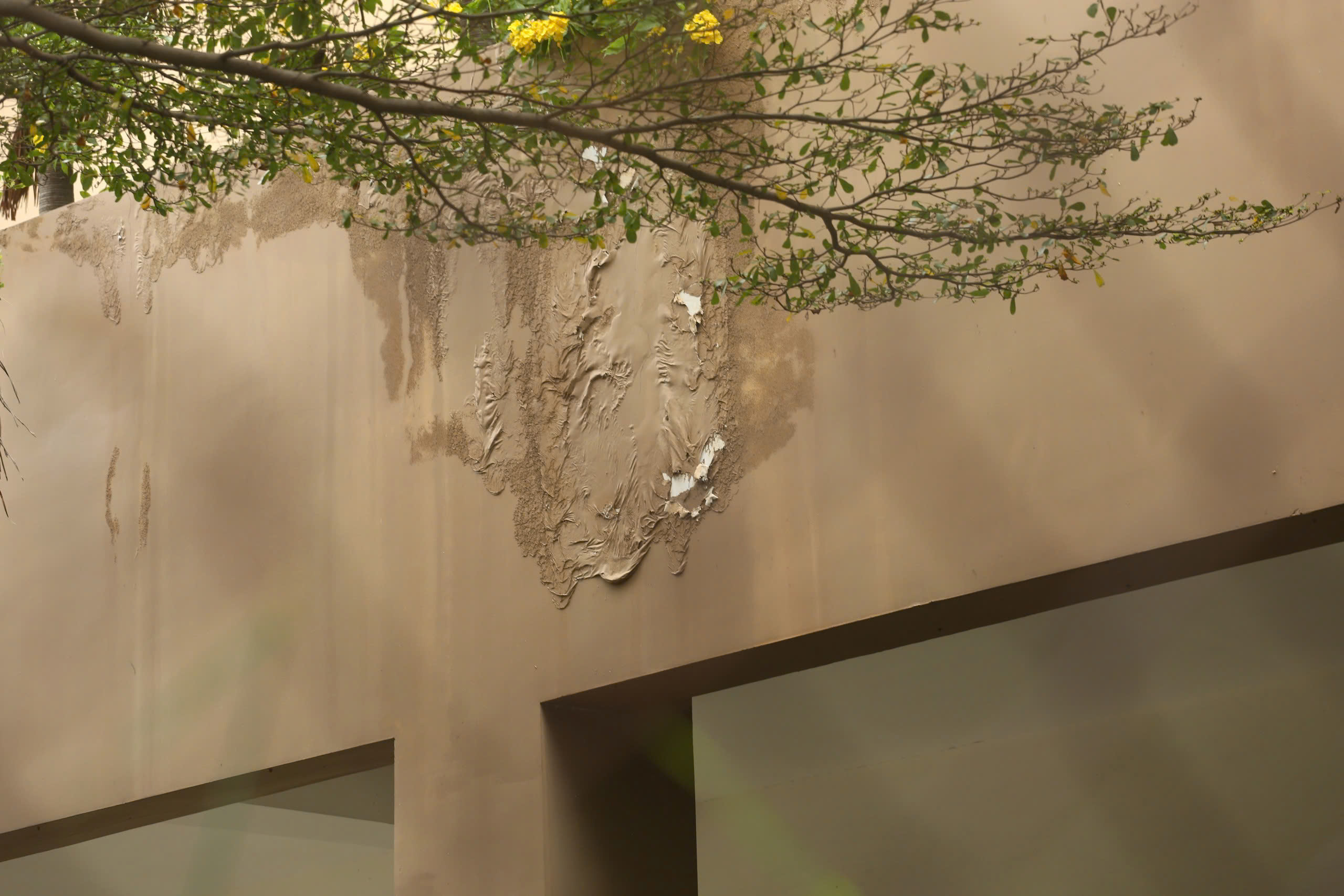 Hiện trạng 3.790 căn hộ t&aacute;i định cư Thủ Thi&ecirc;m trước lần đấu gi&aacute; thứ 5- Ảnh 4.