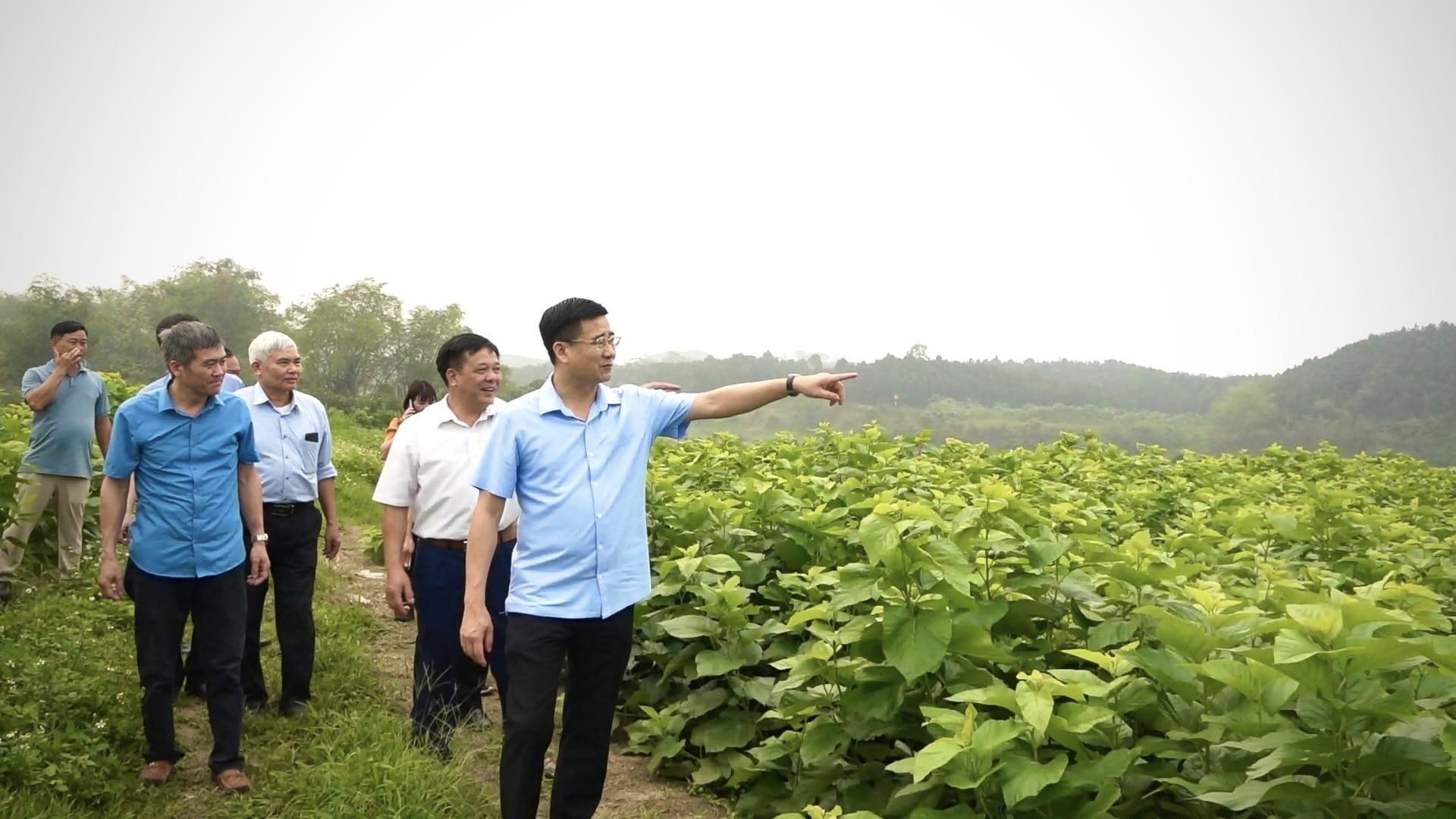 L&agrave;o Cai: X&acirc;y dựng x&atilde; Mậu A trở th&agrave;nh trung t&acirc;m kết nối v&ugrave;ng- Ảnh 3.