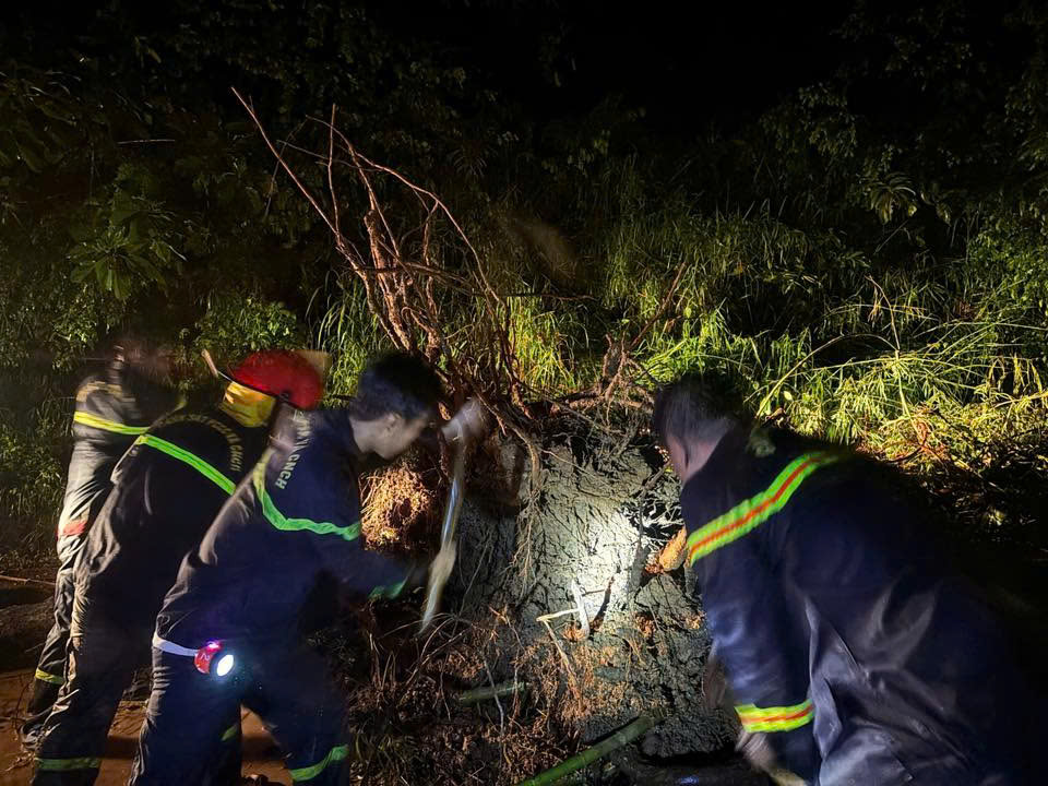 Kịp thời giải ph&oacute;ng sạt lở đường đ&egrave;o Ngoạn Mục, th&ocirc;ng xe quốc lộ 27- Ảnh 3.