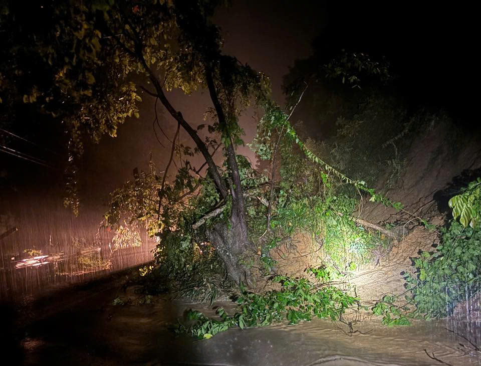 Kịp thời giải ph&oacute;ng sạt lở đường đ&egrave;o Ngoạn Mục, th&ocirc;ng xe quốc lộ 27- Ảnh 1.