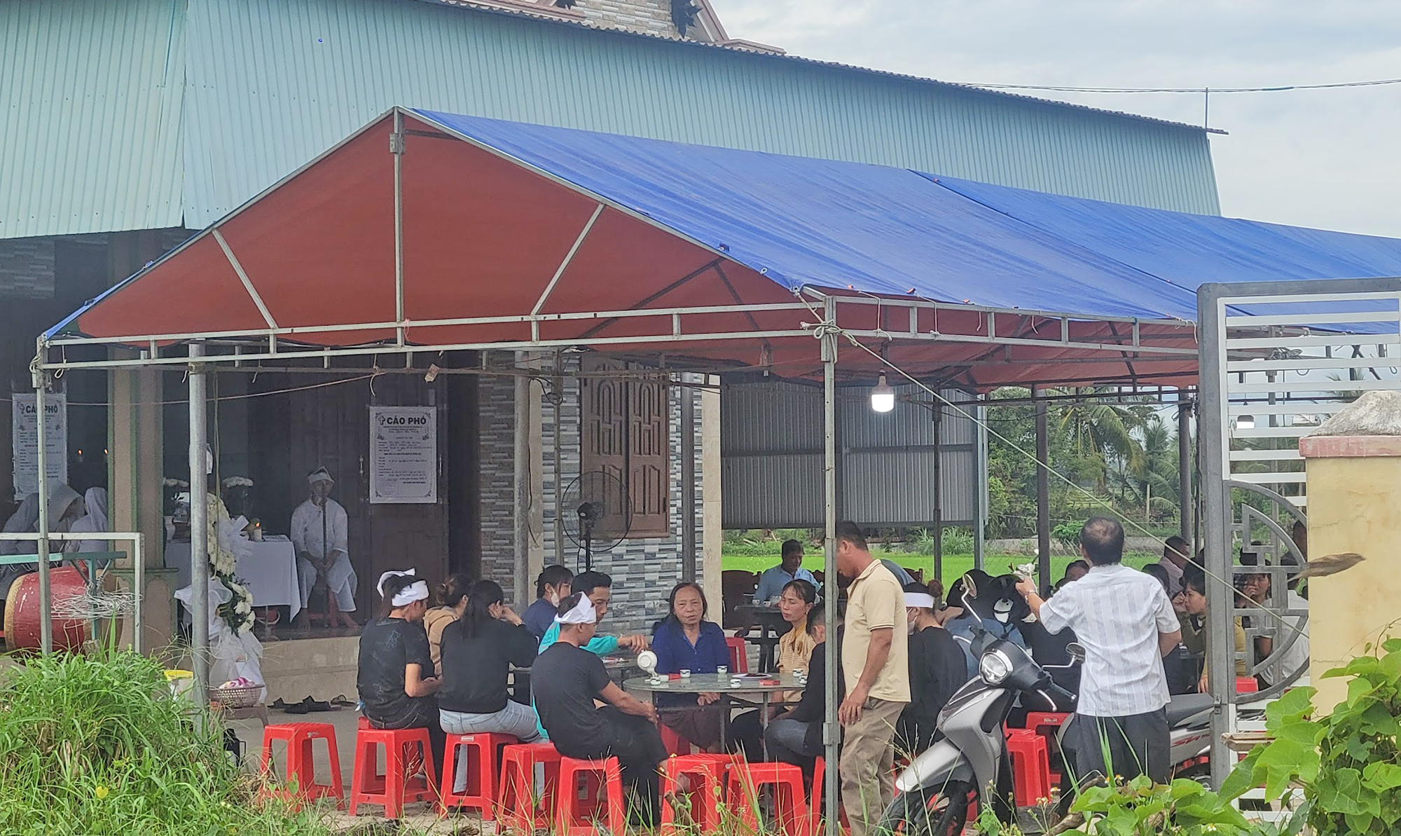 Cha mẹ bất ngờ gặp nạn, ba con ph&uacute;t chốc mồ c&ocirc;i- Ảnh 2.