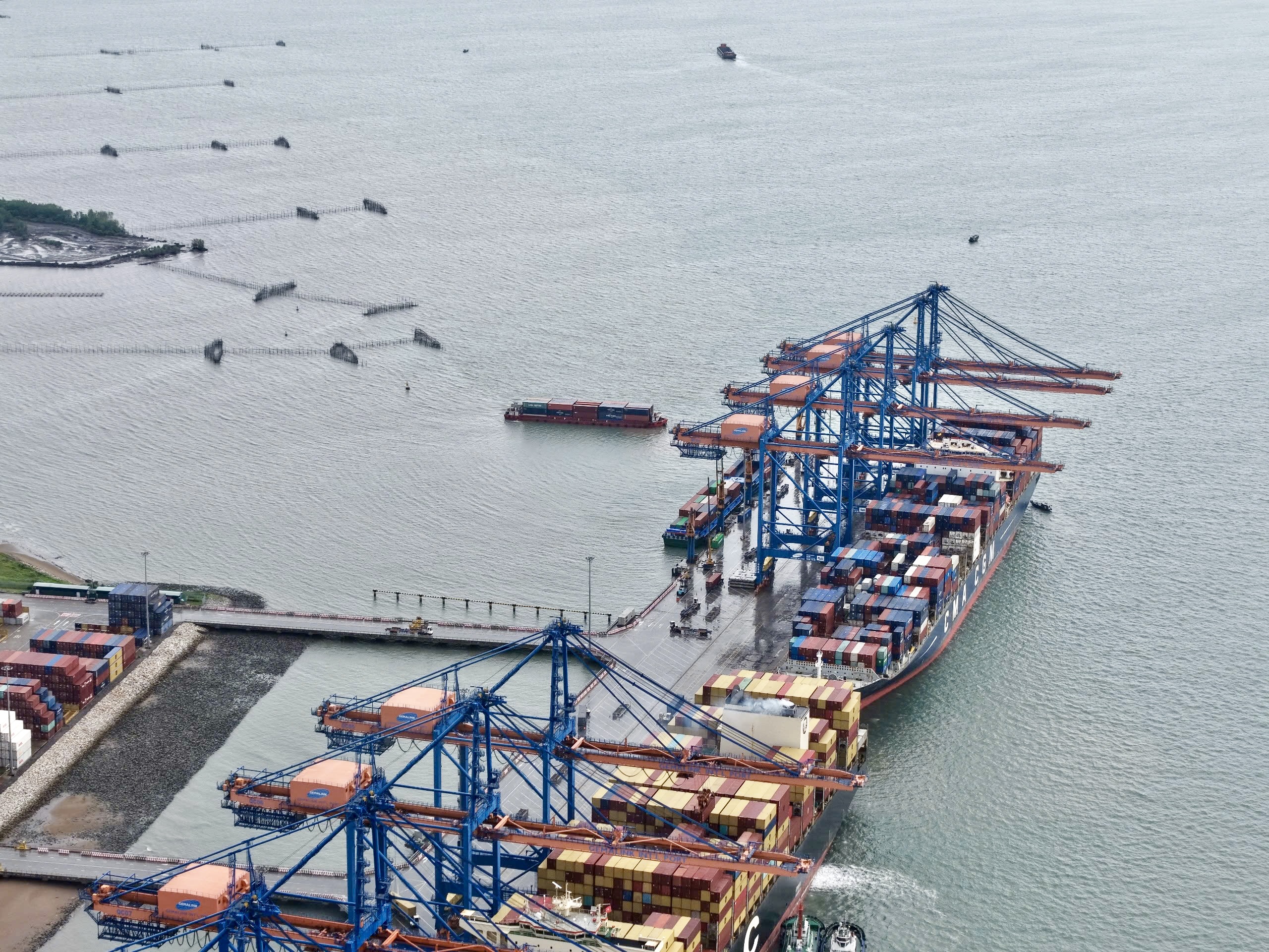 Đưa C&aacute;i M&eacute;p - Thị Vải th&agrave;nh si&ecirc;u cảng số, điểm s&aacute;ng logistics vươn tầm thế giới- Ảnh 7.