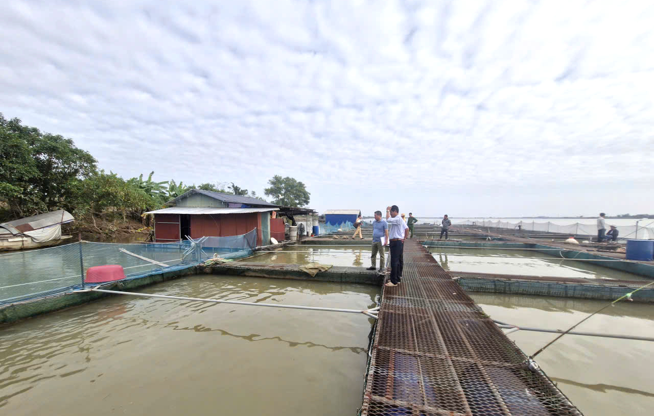 Chấn chỉnh t&igrave;nh trạng nu&ocirc;i trồng thủy sản g&acirc;y mất ATGT đường thủy tại Bắc Ninh- Ảnh 3.
