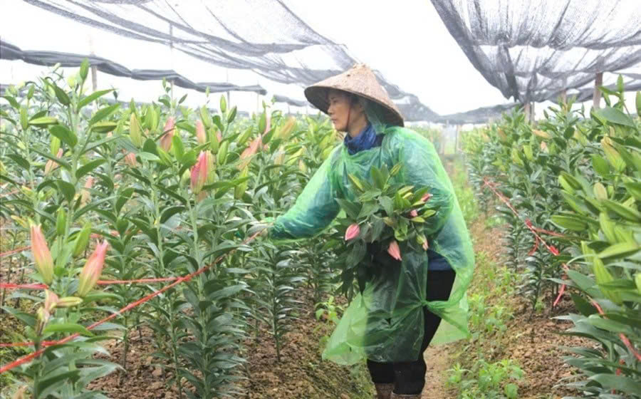 Giữ hồn qu&ecirc; cho n&ocirc;ng th&ocirc;n H&agrave; Nội thời hội nhập- Ảnh 1.