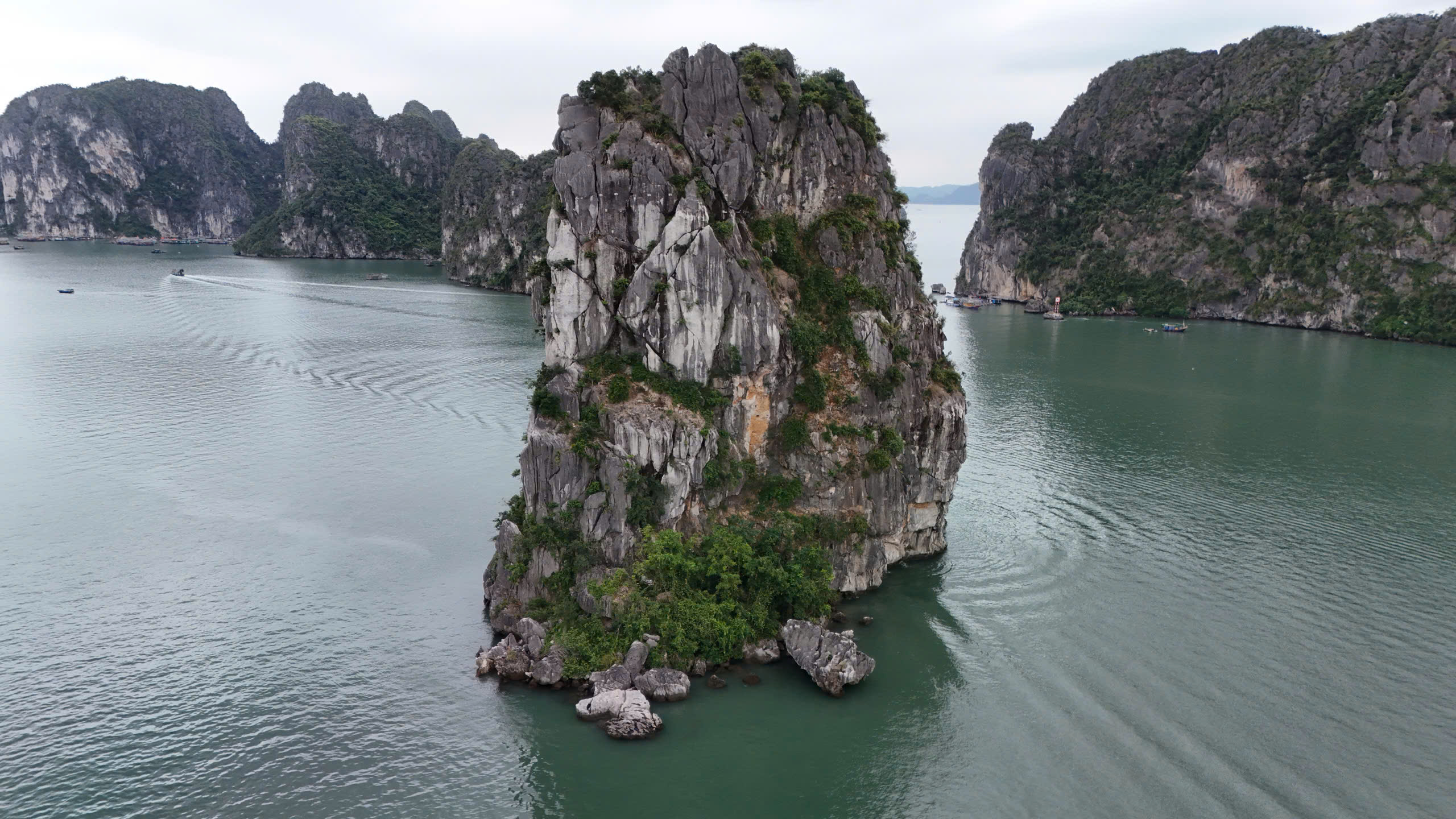 Th&aacute;o dỡ d&agrave;n đ&egrave;n nghệ thuật 140 tỷ đồng tr&ecirc;n vịnh Hạ Long: B&agrave;i học đầu tư cảnh quan- Ảnh 3.