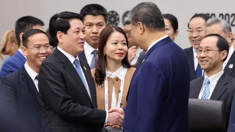 Chủ tịch nước gặp Tổng B&iacute; thư, Chủ tịch Trung Quốc Tập Cận B&igrave;nh, t&acirc;n Thủ tướng Nhật Bản- Ảnh 1.