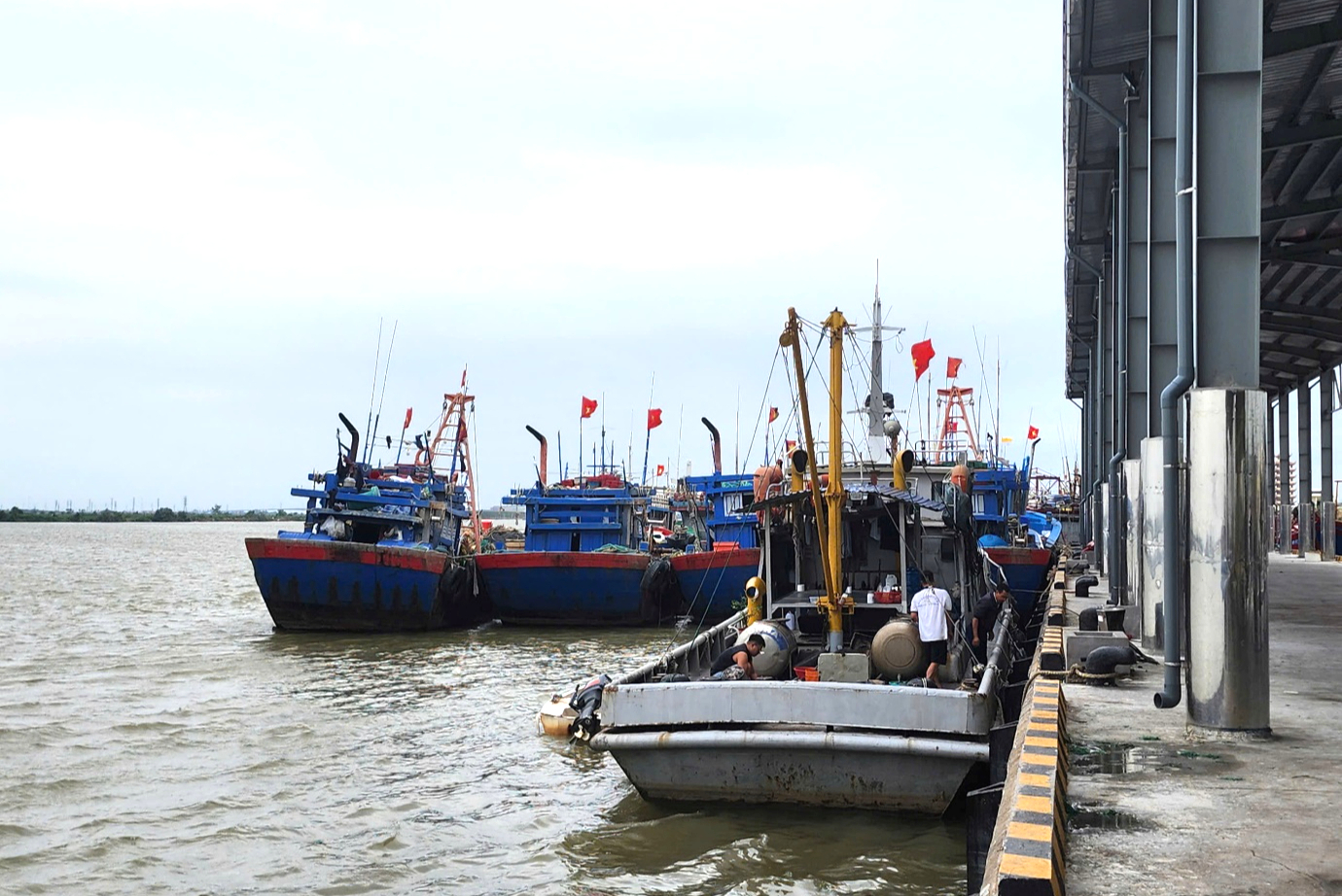 Ninh B&igrave;nh: Siết chặt quản l&yacute;, kh&ocirc;ng để t&agrave;u c&aacute; vi phạm khai th&aacute;c IUU- Ảnh 5.
