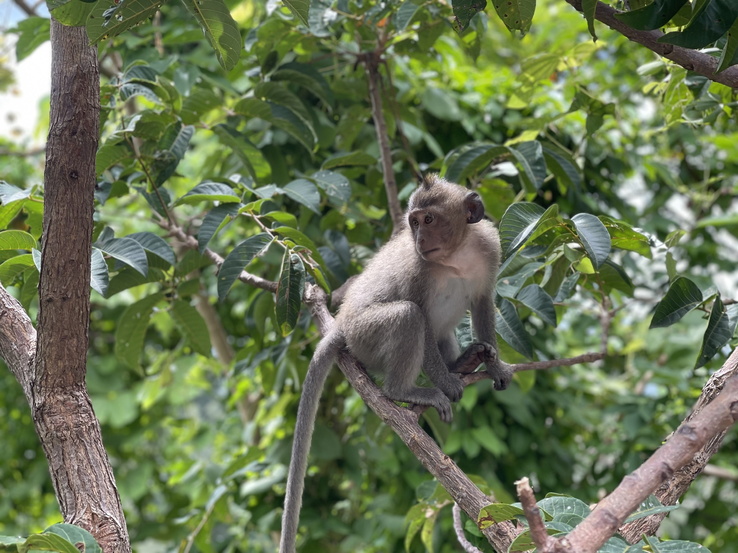 Nông nghiệp xanh, du lịch sinh thái bền vững với trải nghiệm khác biệt ở Bà Rịa - Vũng Tàu- Ảnh 5. Nông nghiệp xanh, du lịch sinh thái bền vững với trải nghiệm khác biệt ở Bà Rịa - Vũng Tàu- Ảnh 5.