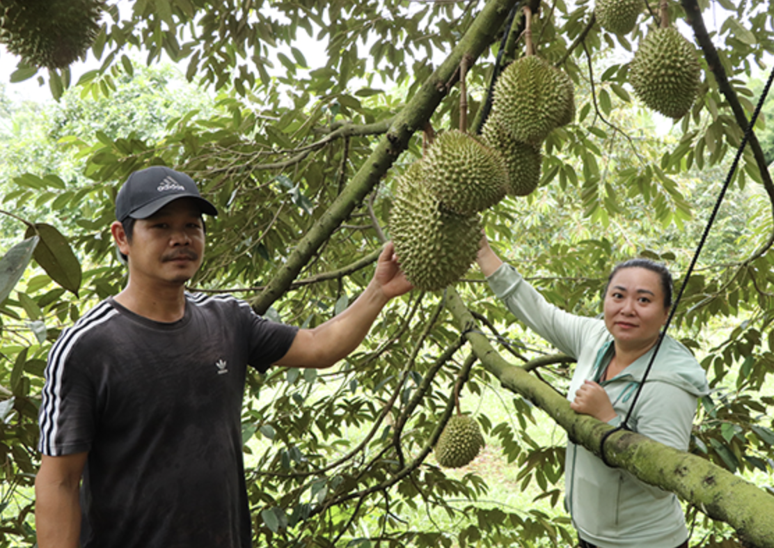 Nông nghiệp xanh, du lịch sinh thái bền vững với trải nghiệm khác biệt ở Bà Rịa - Vũng Tàu- Ảnh 4. Nông nghiệp xanh, du lịch sinh thái bền vững với trải nghiệm khác biệt ở Bà Rịa - Vũng Tàu- Ảnh 4.