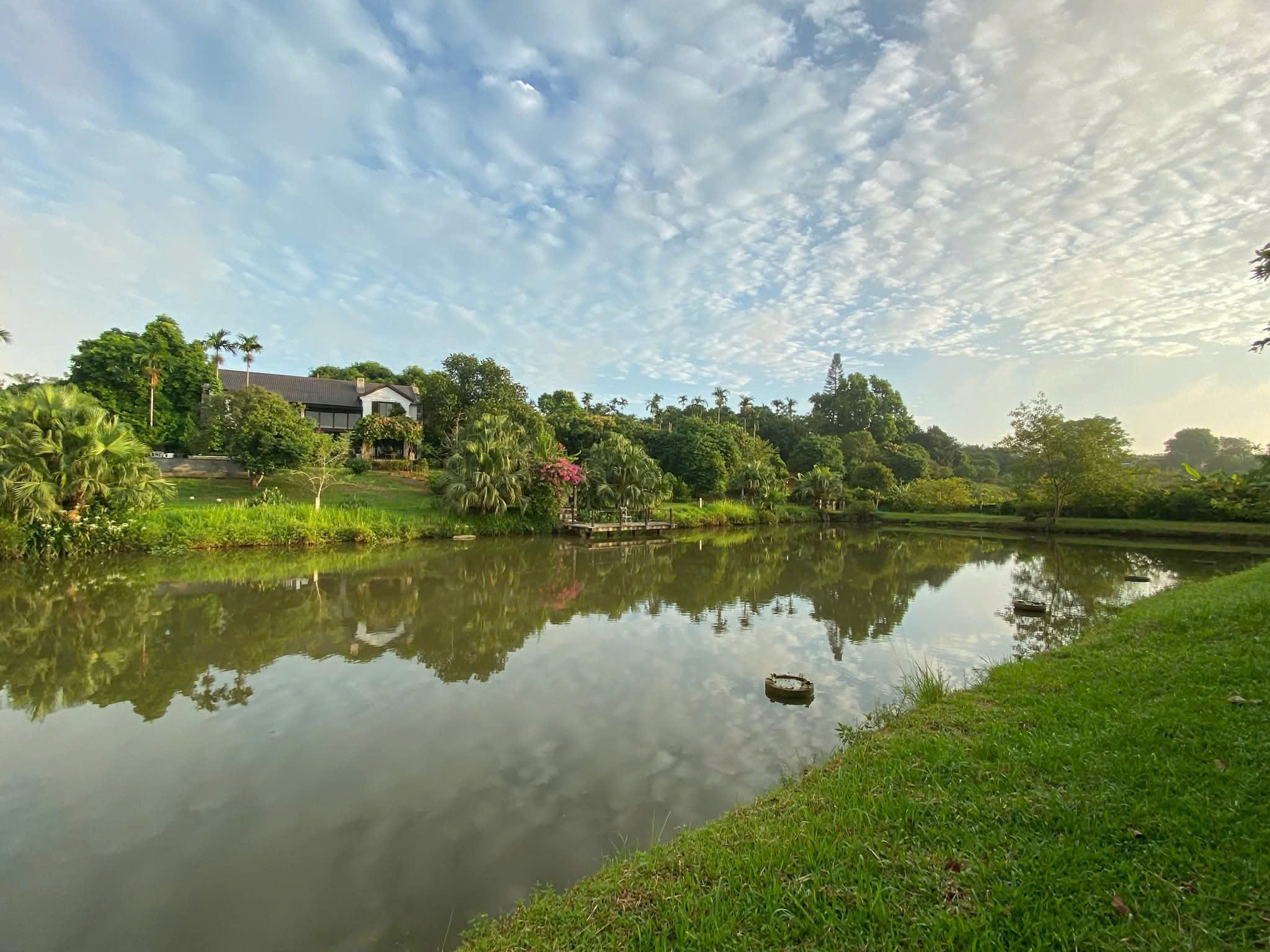 Từ đồi ch&egrave; đến Bản X&ocirc;i, Y&ecirc;n B&agrave;i hồi sinh trong h&agrave;nh tr&igrave;nh n&ocirc;ng th&ocirc;n mới- Ảnh 4.