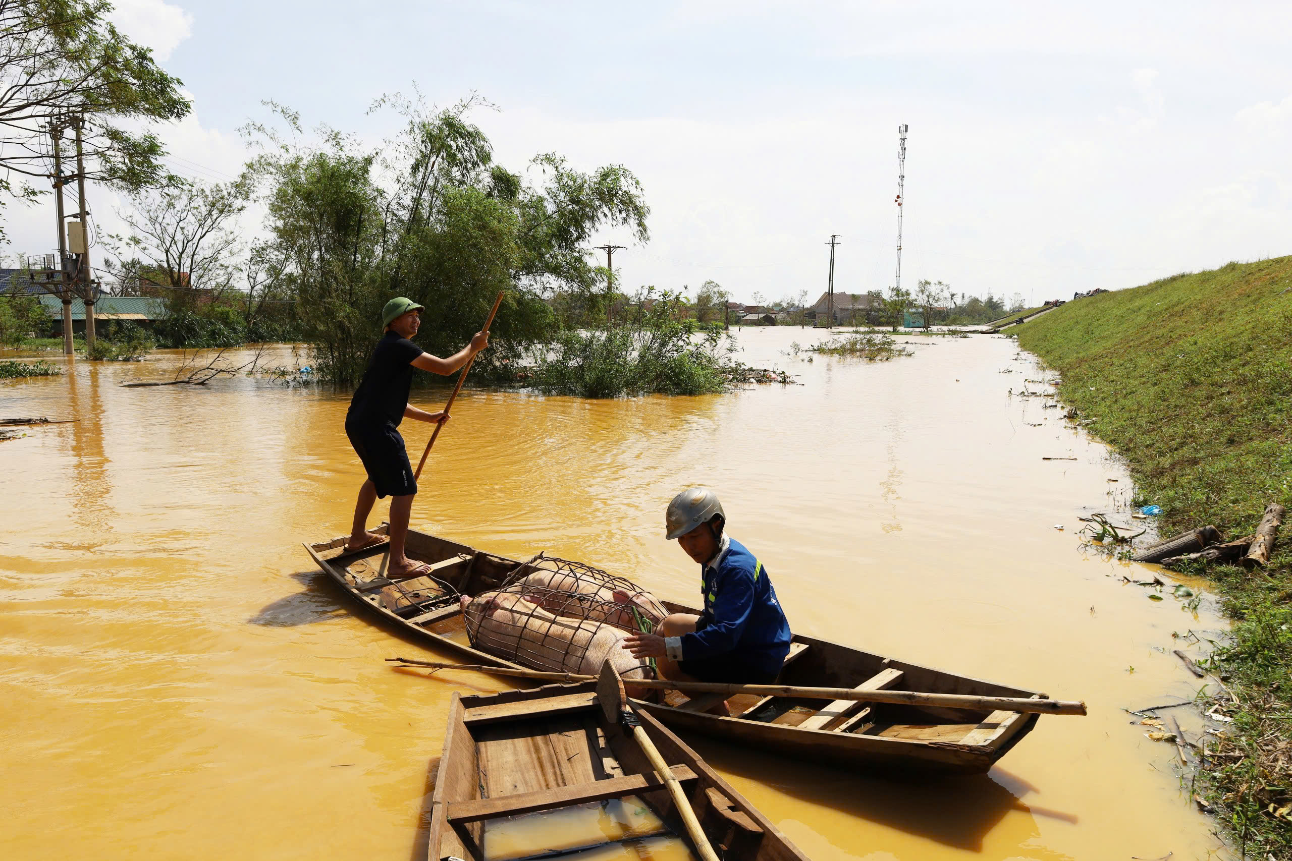 Người d&acirc;n ven biển Nghệ An mong g&oacute;i vay ưu đ&atilde;i để ổn định sản xuất sau b&atilde;o lũ- Ảnh 6.