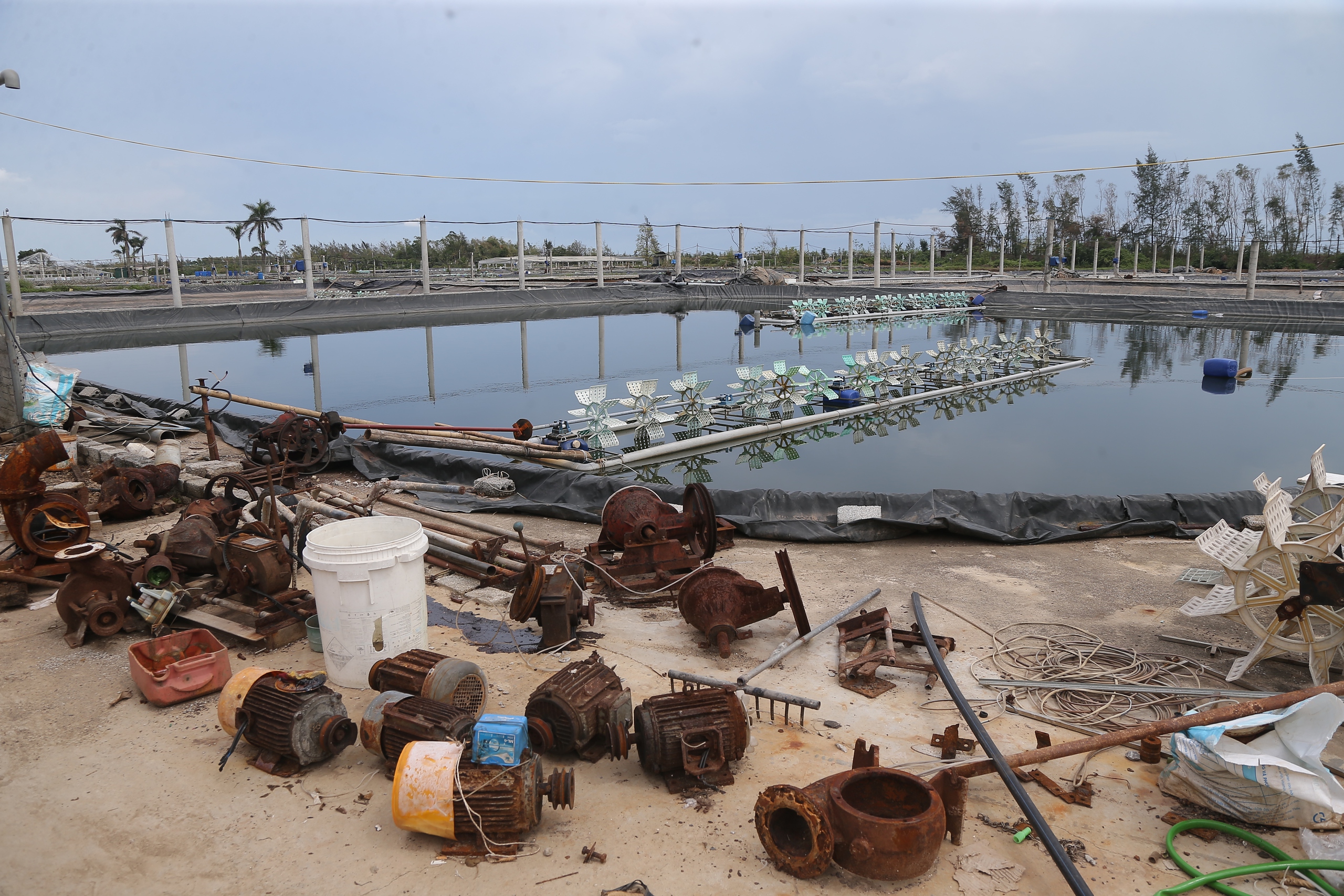 Người d&acirc;n ven biển Nghệ An mong g&oacute;i vay ưu đ&atilde;i để ổn định sản xuất sau b&atilde;o lũ- Ảnh 2.