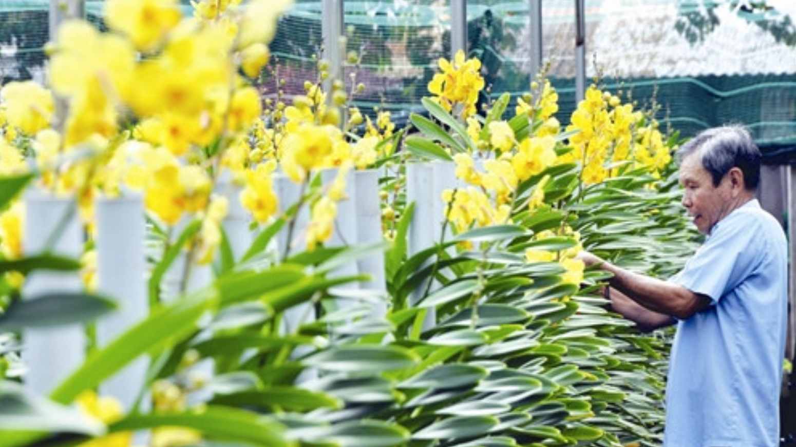 TP.HCM: X&atilde; Nhuận Đức phấn đấu th&agrave;nh x&atilde; n&ocirc;ng th&ocirc;n mới n&acirc;ng cao- Ảnh 1.