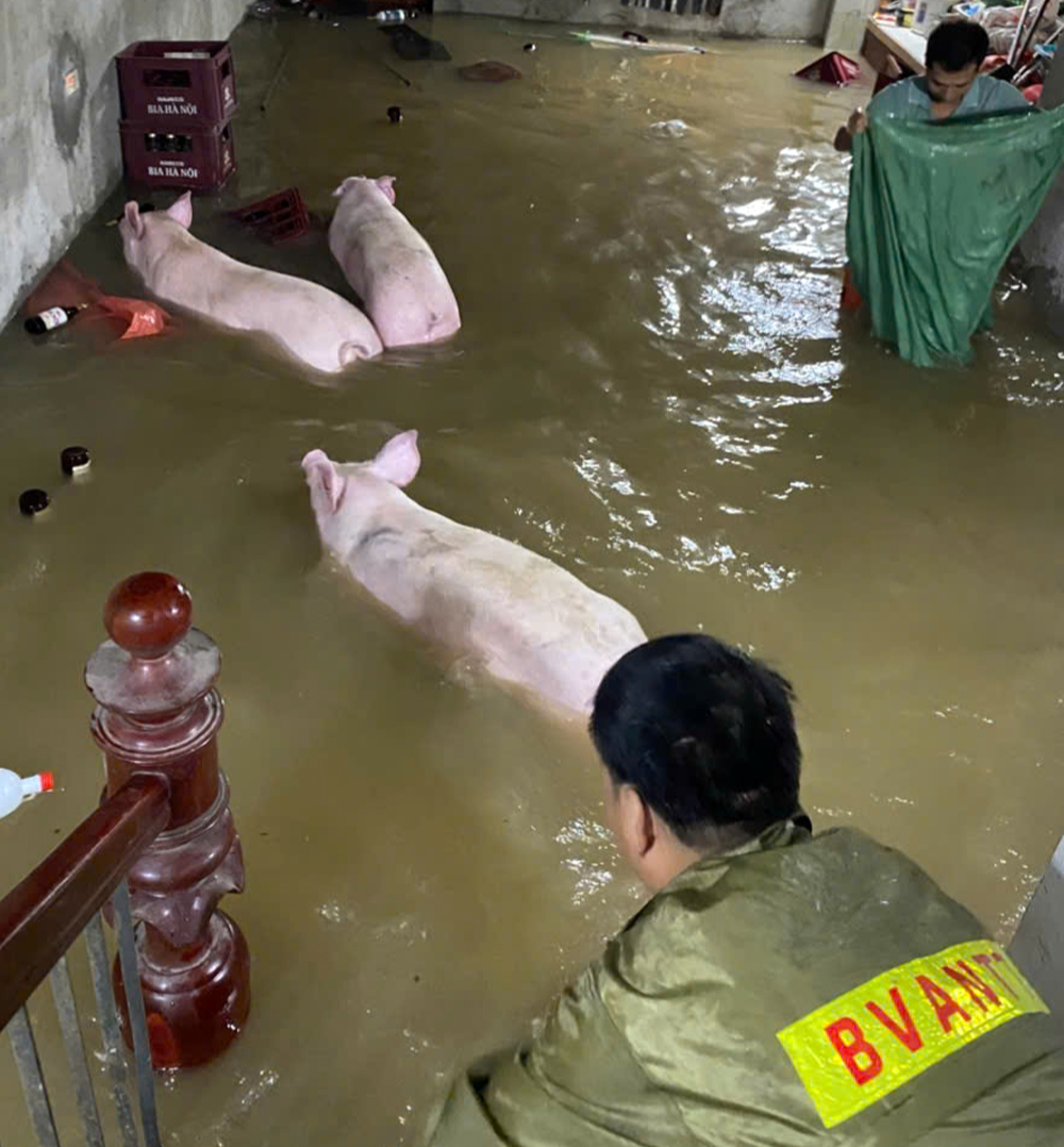Bắc Ninh: Kịp thời di dời 184 hộ d&acirc;n khỏi v&ugrave;ng nguy hiểm do nước lũ d&acirc;ng cao- Ảnh 1.